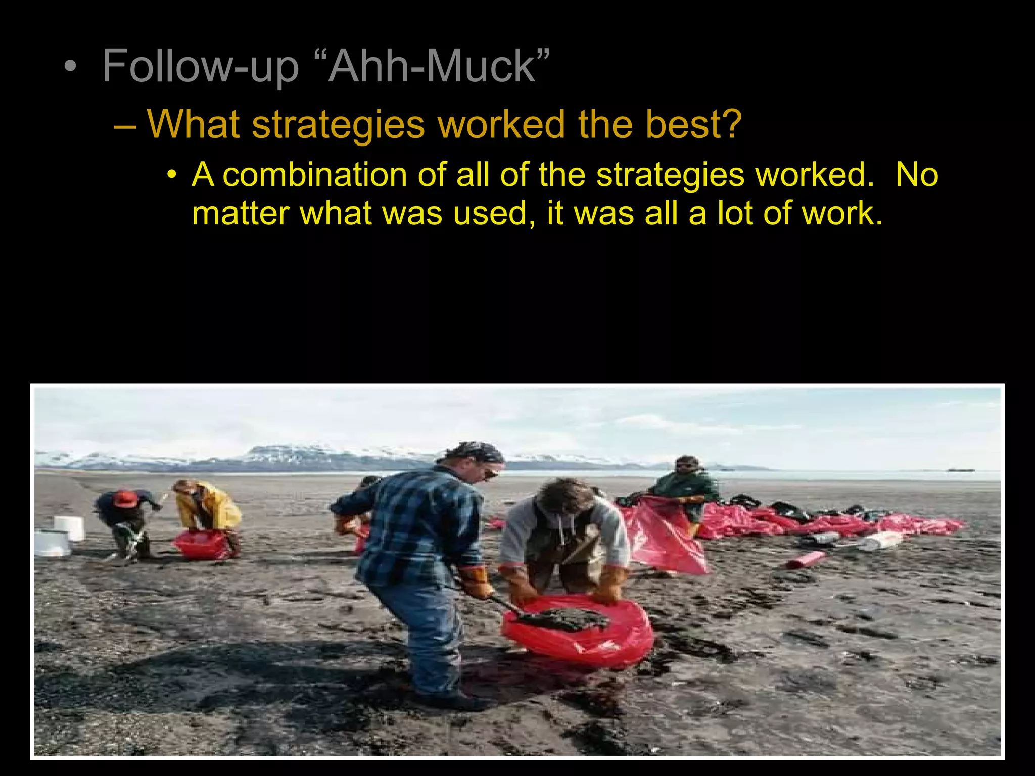 • Follow-up “Ahh-Muck”
– What strategies worked the best?
• A combination of all of the strategies worked. No
matter what was used, it was all a lot of work.
 