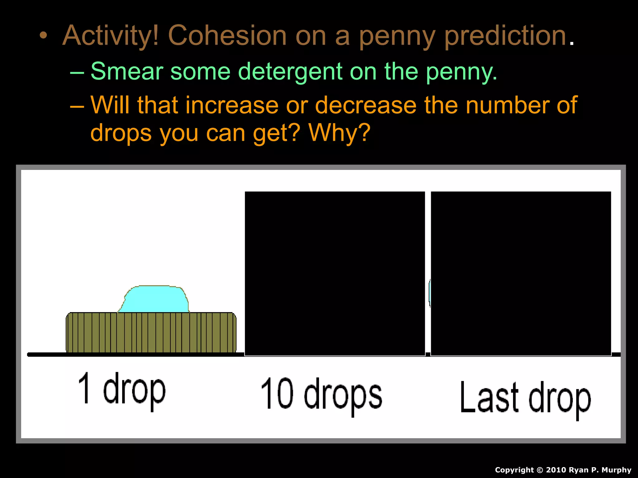 • Activity! Cohesion on a penny prediction.
– Smear some detergent on the penny.
– Will that increase or decrease the number of
drops you can get? Why?
Copyright © 2010 Ryan P. Murphy
 