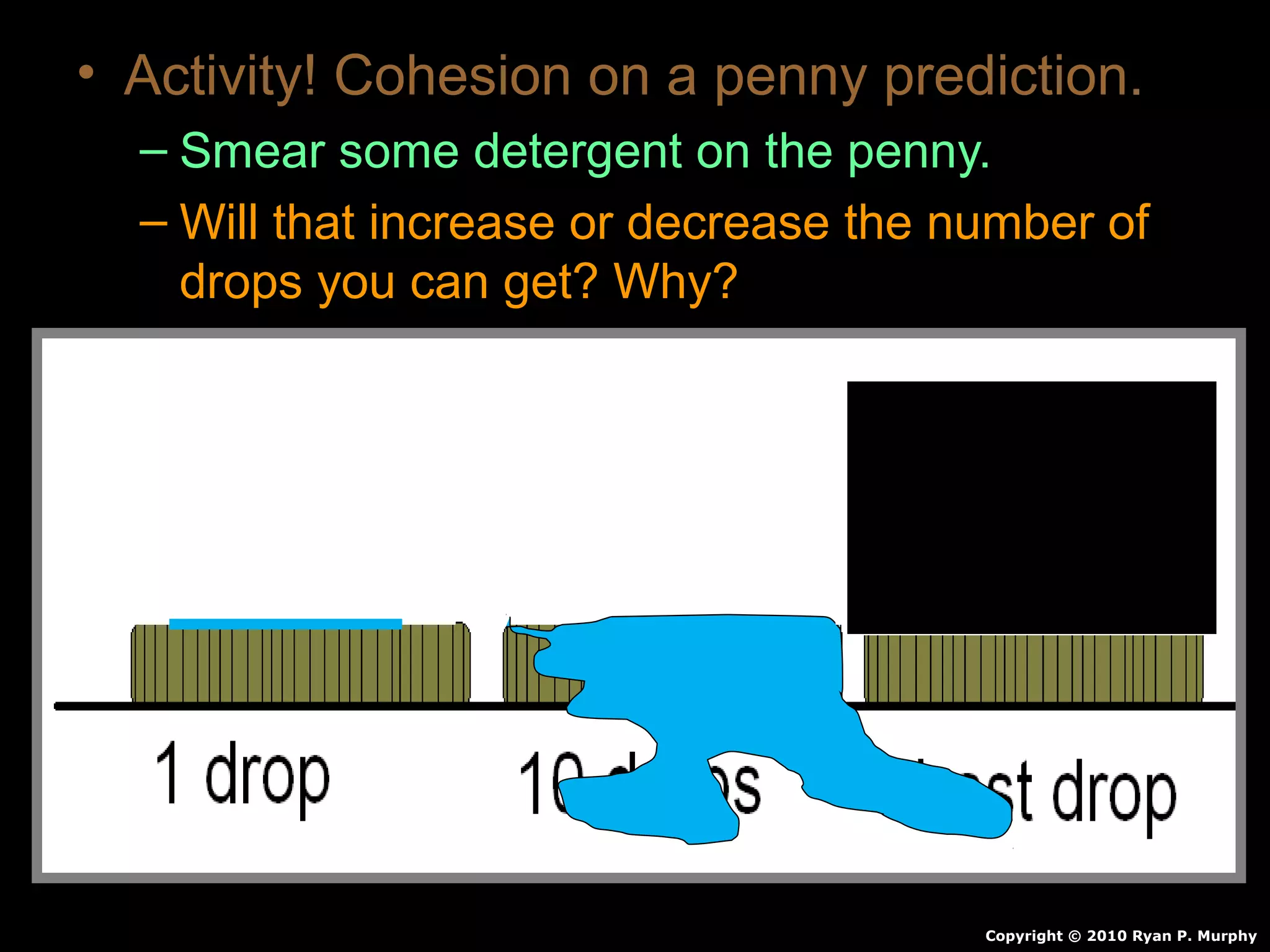 • Activity! Cohesion on a penny prediction.
– Smear some detergent on the penny.
– Will that increase or decrease the number of
drops you can get? Why?
Copyright © 2010 Ryan P. Murphy
 