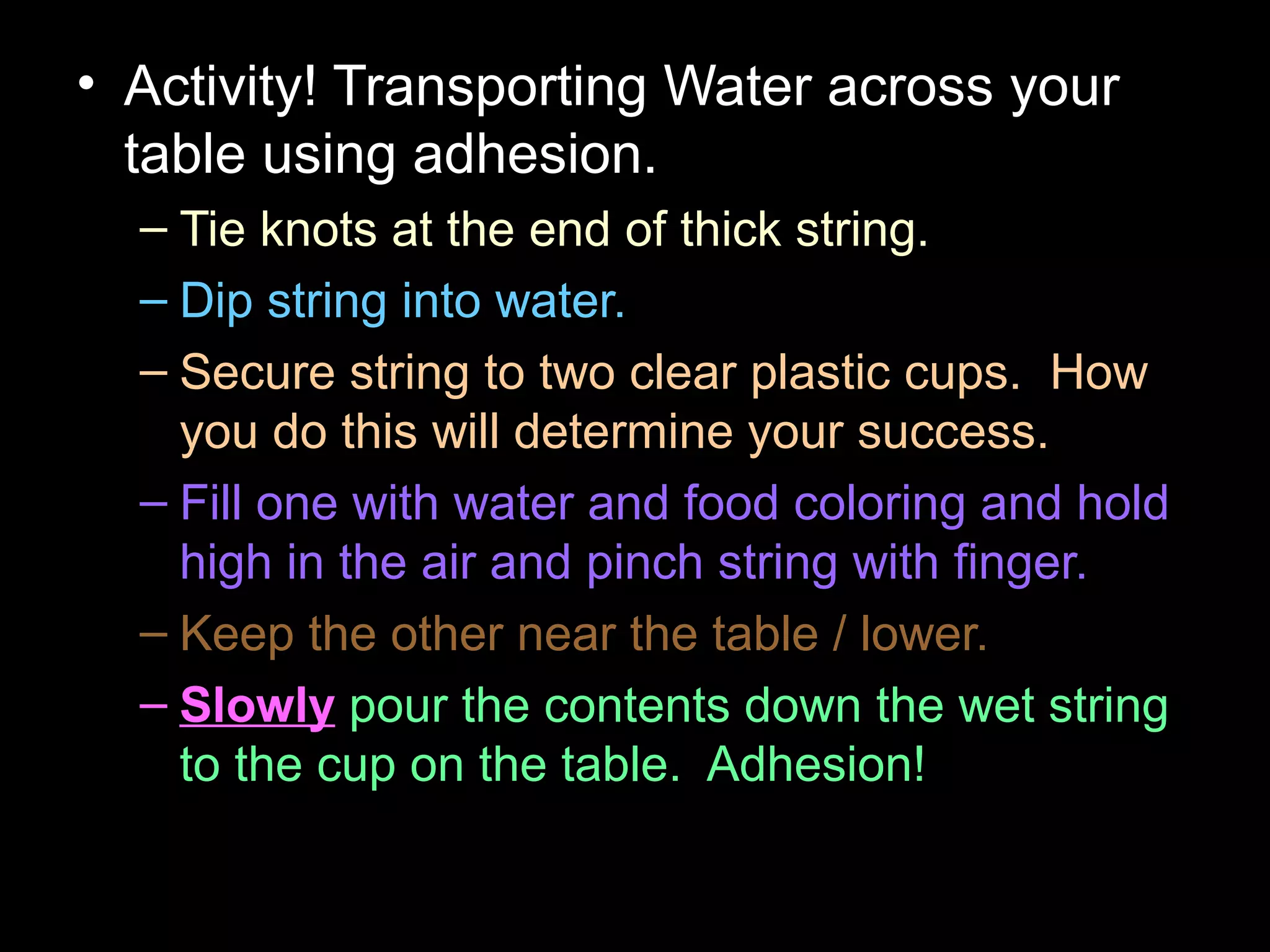 • Activity! Transporting Water across your
table using adhesion.
– Tie knots at the end of thick string.
– Dip string into water.
– Secure string to two clear plastic cups. How
you do this will determine your success.
– Fill one with water and food coloring and hold
high in the air and pinch string with finger.
– Keep the other near the table / lower.
– Slowly pour the contents down the wet string
to the cup on the table. Adhesion!
 