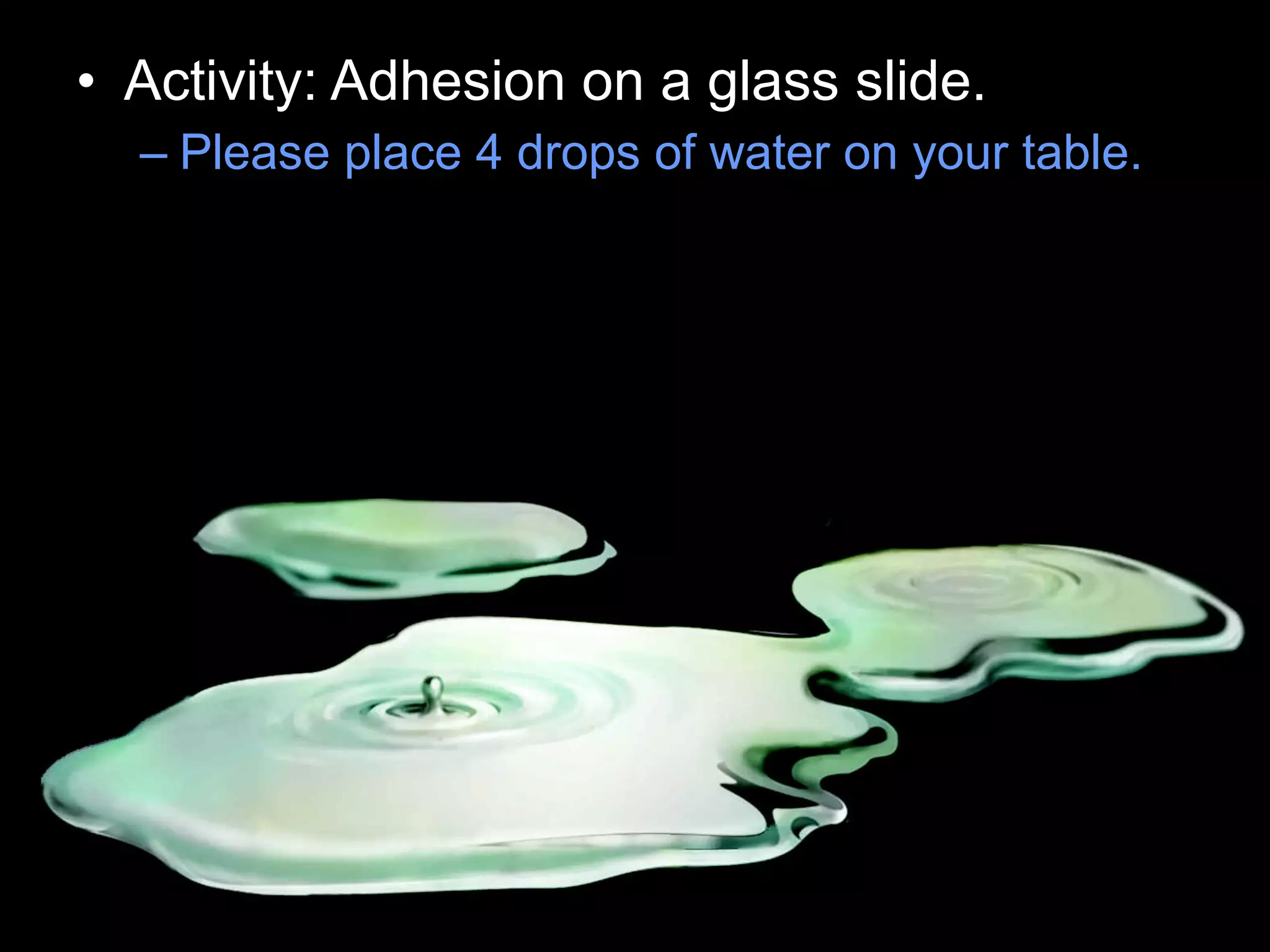 • Activity: Adhesion on a glass slide.
– Please place 4 drops of water on your table.
Copyright © 2010 Ryan P. Murphy
 