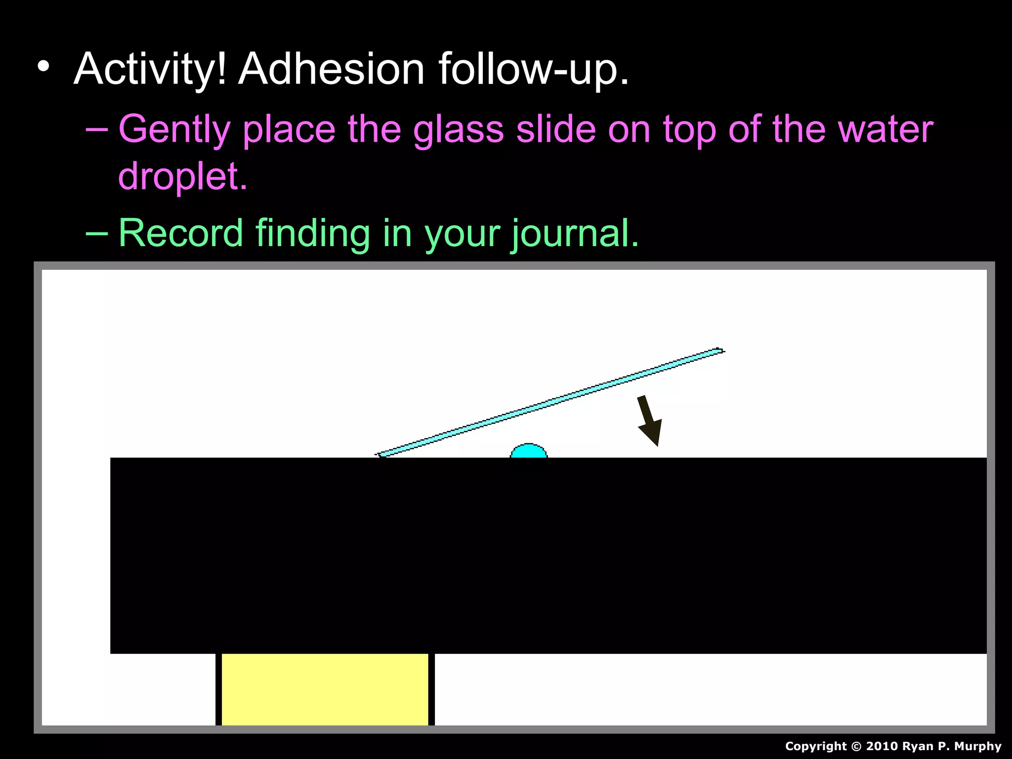 • Activity! Adhesion follow-up.
– Gently place the glass slide on top of the water
droplet.
– Record finding in your journal.
Copyright © 2010 Ryan P. Murphy
 