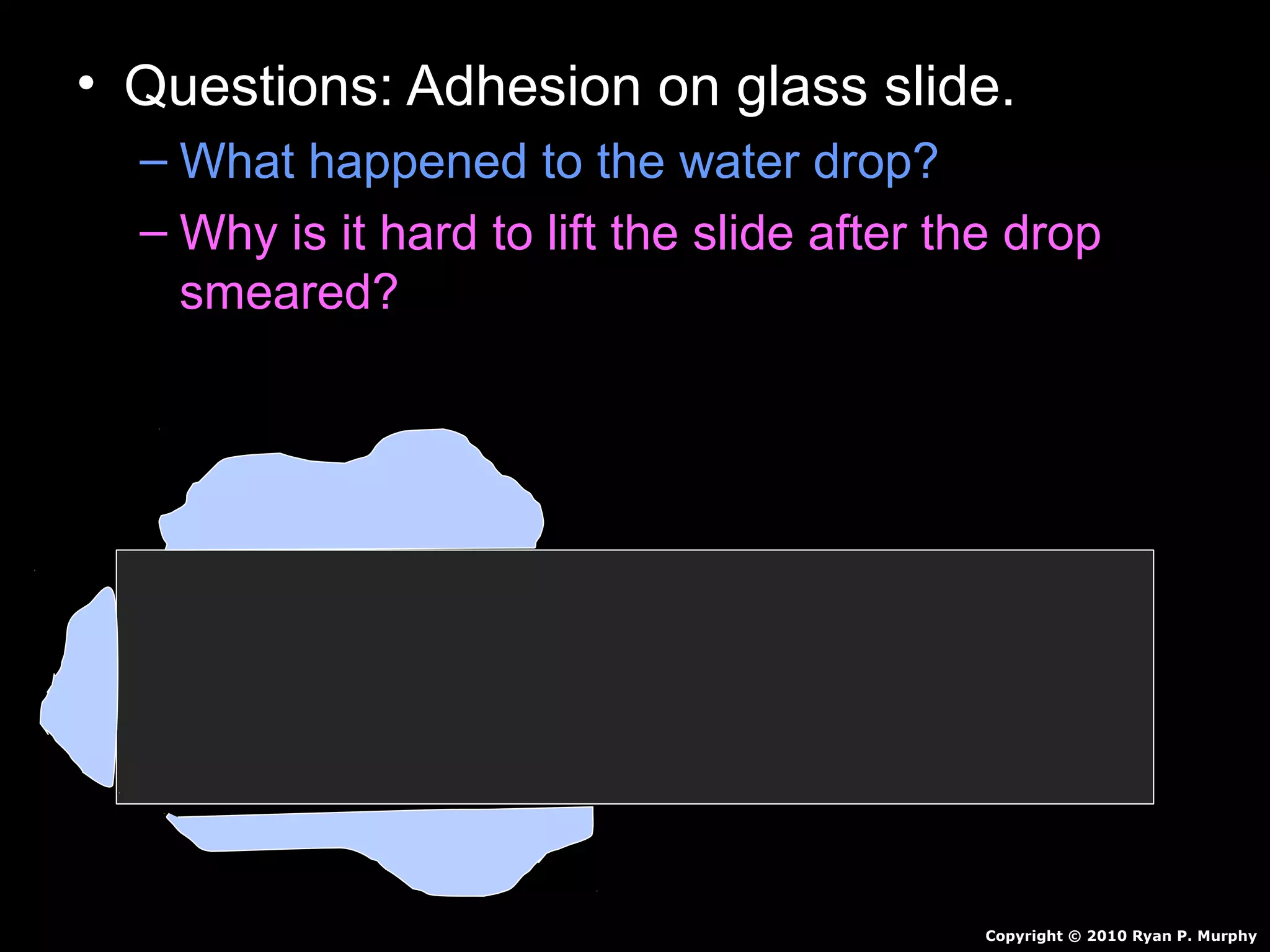 • Questions: Adhesion on glass slide.
– What happened to the water drop?
– Why is it hard to lift the slide after the drop
smeared?
Copyright © 2010 Ryan P. Murphy
 
