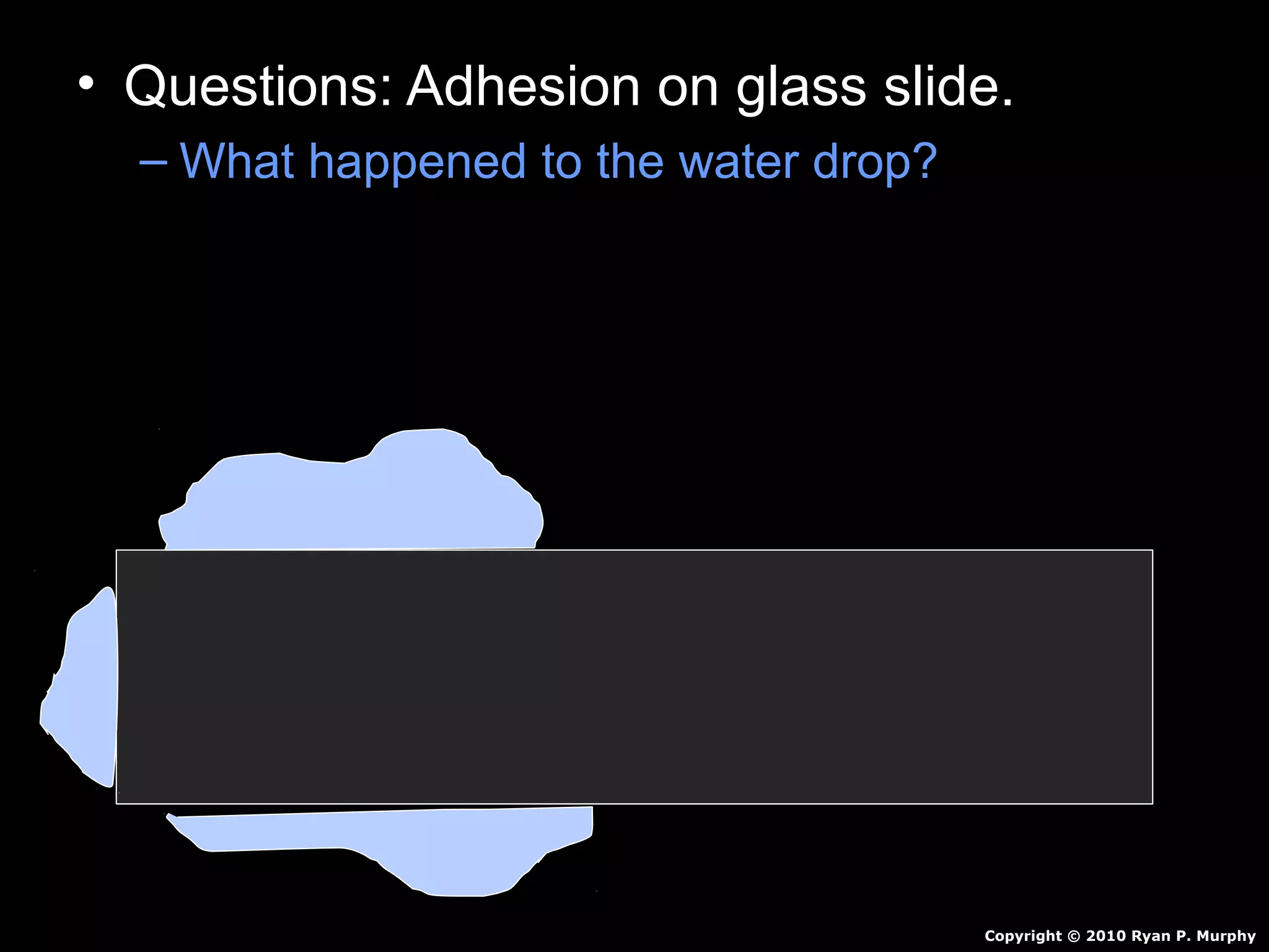 • Questions: Adhesion on glass slide.
– What happened to the water drop?
Copyright © 2010 Ryan P. Murphy
 