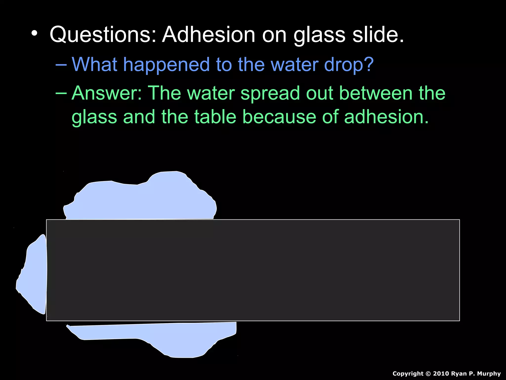 • Questions: Adhesion on glass slide.
– What happened to the water drop?
– Answer: The water spread out between the
glass and the table because of adhesion.
Copyright © 2010 Ryan P. Murphy
 