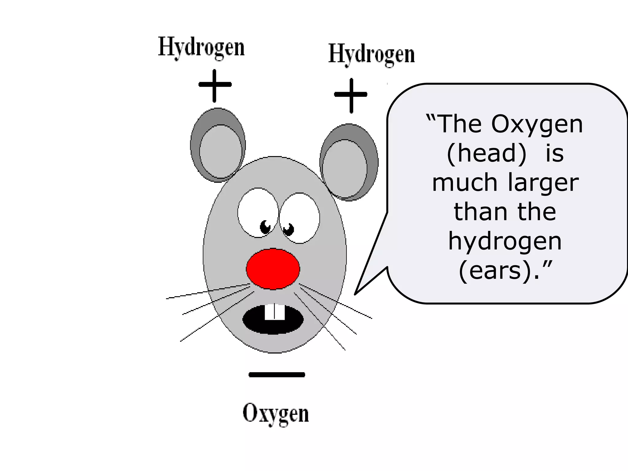 The Water
Molecule
H2O
“The Oxygen
(head) is
much larger
than the
hydrogen
(ears).”
 