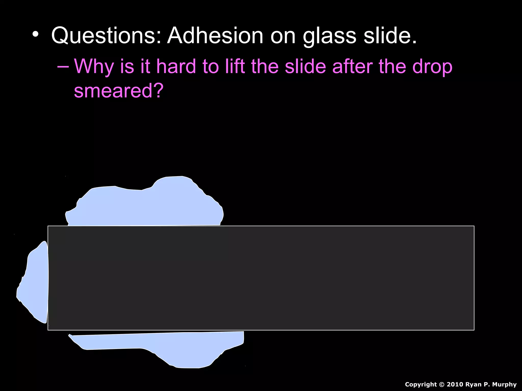 • Questions: Adhesion on glass slide.
– Why is it hard to lift the slide after the drop
smeared?
Copyright © 2010 Ryan P. Murphy
 