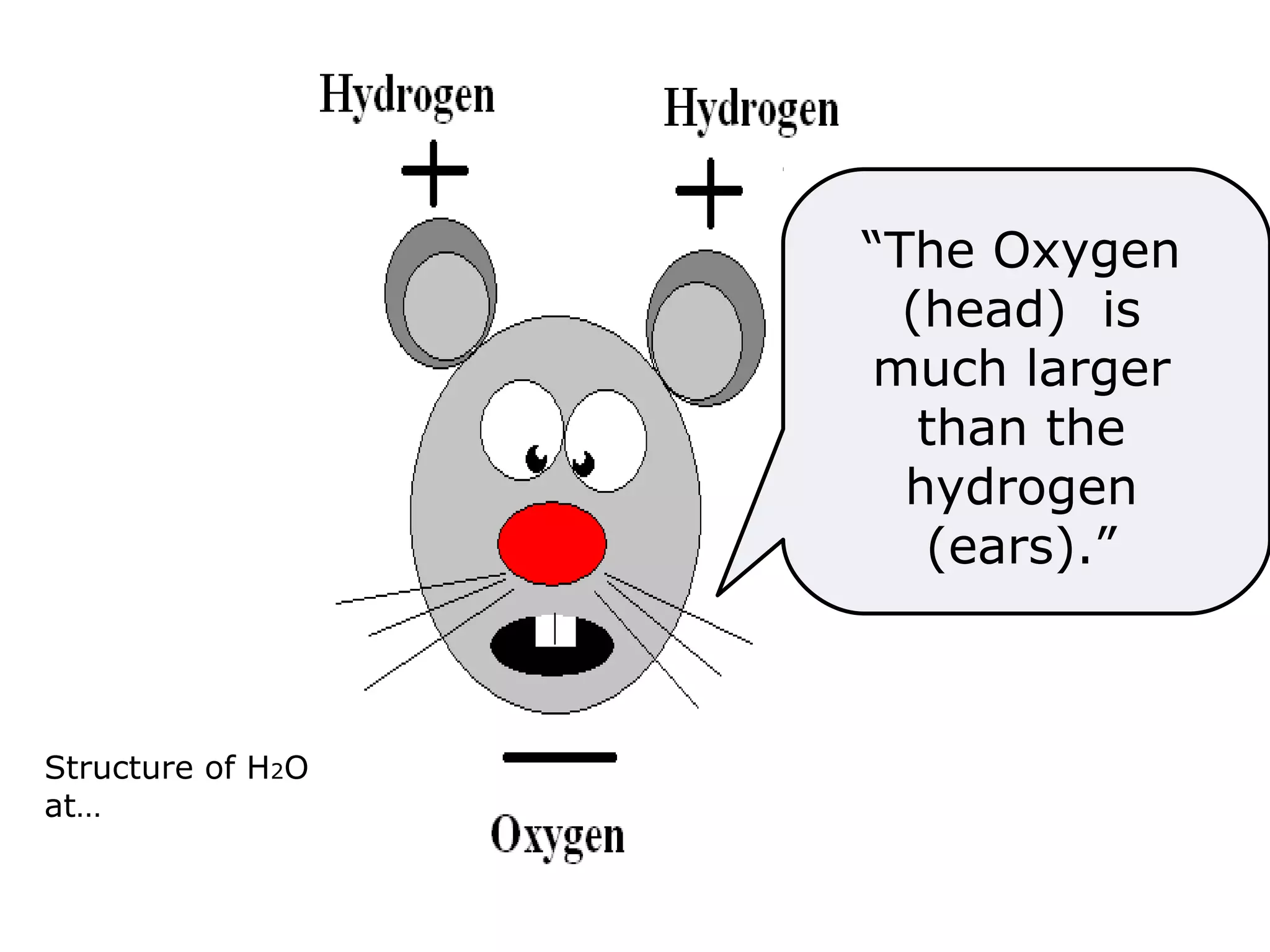 The Water
Molecule
H2O
“The Oxygen
(head) is
much larger
than the
hydrogen
(ears).”
Structure of H2O
at…
http://www.johnky
rk.com/H2O.html
 