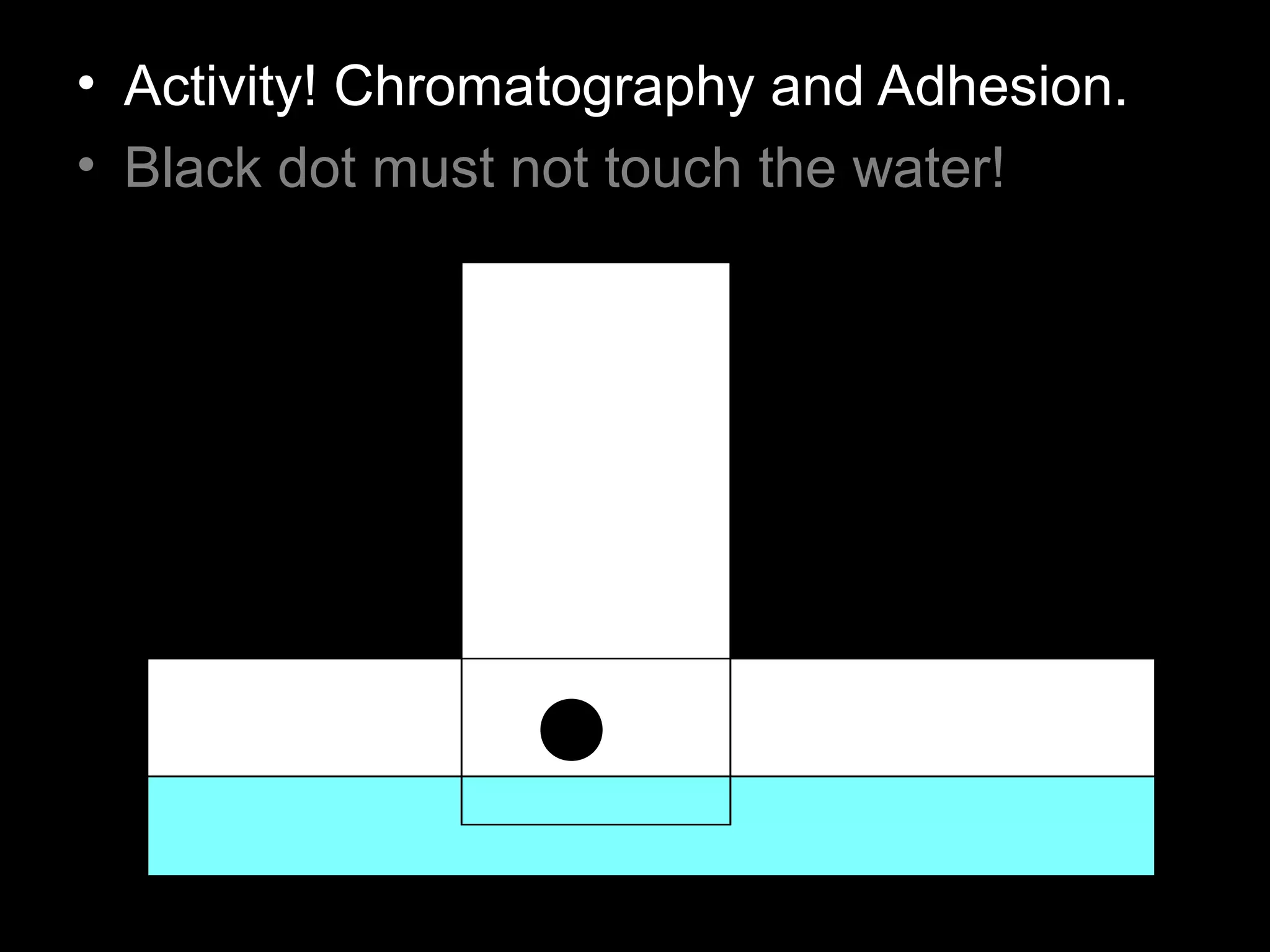 • Activity! Chromatography and Adhesion.
• Black dot must not touch the water!
 