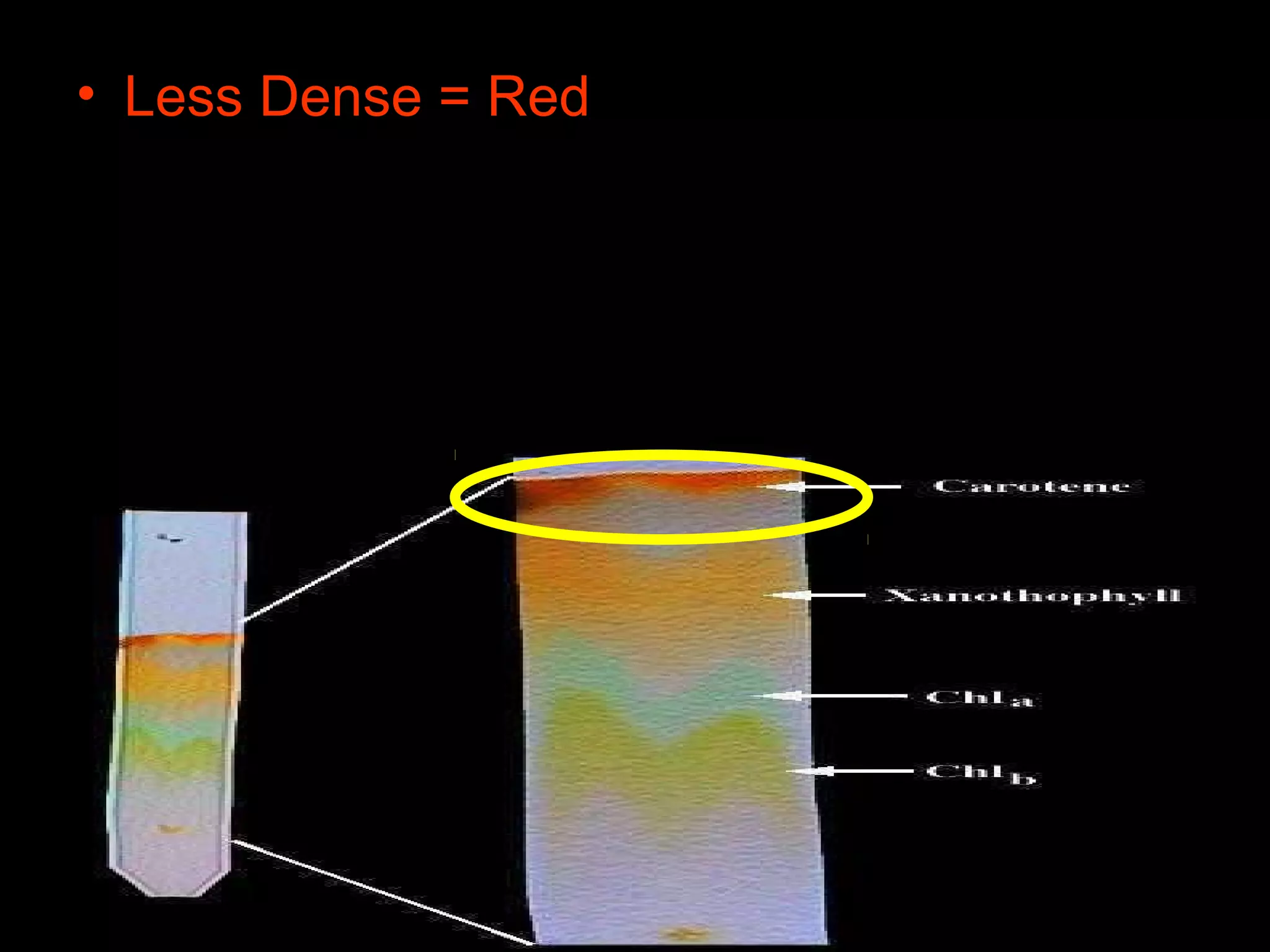• Less Dense = Red
 