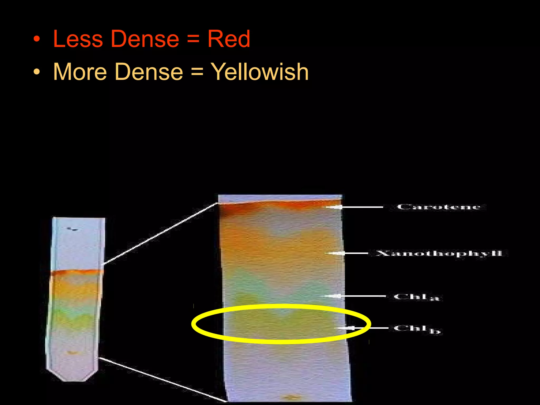 • Less Dense = Red
• More Dense = Yellowish
 