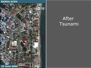After
Tsunami
 