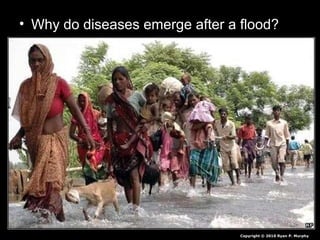• Why do diseases emerge after a flood?
Copyright © 2010 Ryan P. Murphy
 