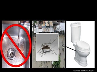 Copyright © 2010 Ryan P. Murphy
 