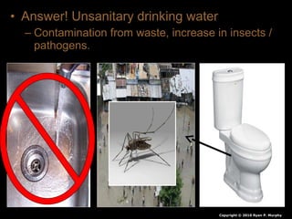 • Answer! Unsanitary drinking water
– Contamination from waste, increase in insects /
pathogens.
Copyright © 2010 Ryan P. Murphy
 