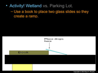 • Activity! Wetland vs. Parking Lot.
– Use a book to place two glass slides so they
create a ramp.
– Wrap one in a paper towel.
– Place 100 drops on each.
– Record your observations of each in journal
Copyright © 2010 Ryan P. Murphy
 