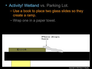 • Activity! Wetland vs. Parking Lot.
– Use a book to place two glass slides so they
create a ramp.
– Wrap one in a paper towel.
– Place 100 drops on each.
– Record your observations of each in journal
Copyright © 2010 Ryan P. Murphy
 