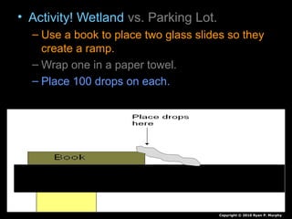 • Activity! Wetland vs. Parking Lot.
– Use a book to place two glass slides so they
create a ramp.
– Wrap one in a paper towel.
– Place 100 drops on each.
– Record your observations of each in journal
Copyright © 2010 Ryan P. Murphy
 