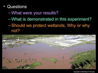 • Questions
–What were your results?
–What is demonstrated in this experiment?
–Should we protect wetlands, Why or why
not?
Copyright © 2010 Ryan P. Murphy
 