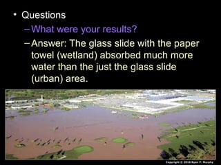 • Questions
–What were your results?
–Answer: The glass slide with the paper
towel (wetland) absorbed much more
water than the just the glass slide
(urban) area.
Copyright © 2010 Ryan P. Murphy
 