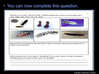• You can now complete this question.
Copyright © 2010 Ryan P. Murphy
 