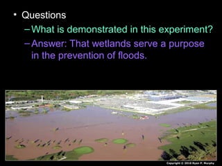 • Questions
–What is demonstrated in this experiment?
–Answer: That wetlands serve a purpose
in the prevention of floods.
Copyright © 2010 Ryan P. Murphy
 