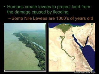 • Humans create levees to protect land from
the damage caused by flooding.
–Some Nile Levees are 1000’s of years old
Copyright © 2010 Ryan P. Murphy
 