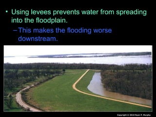 • Using levees prevents water from spreading
into the floodplain.
–This makes the flooding worse
downstream.
Copyright © 2010 Ryan P. Murphy
 