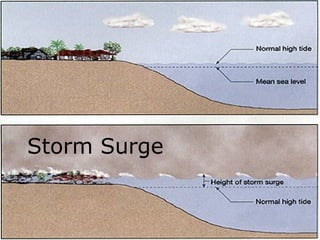 Storm Surge
 