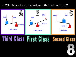 • Which is a first, second, and third class lever.?
 