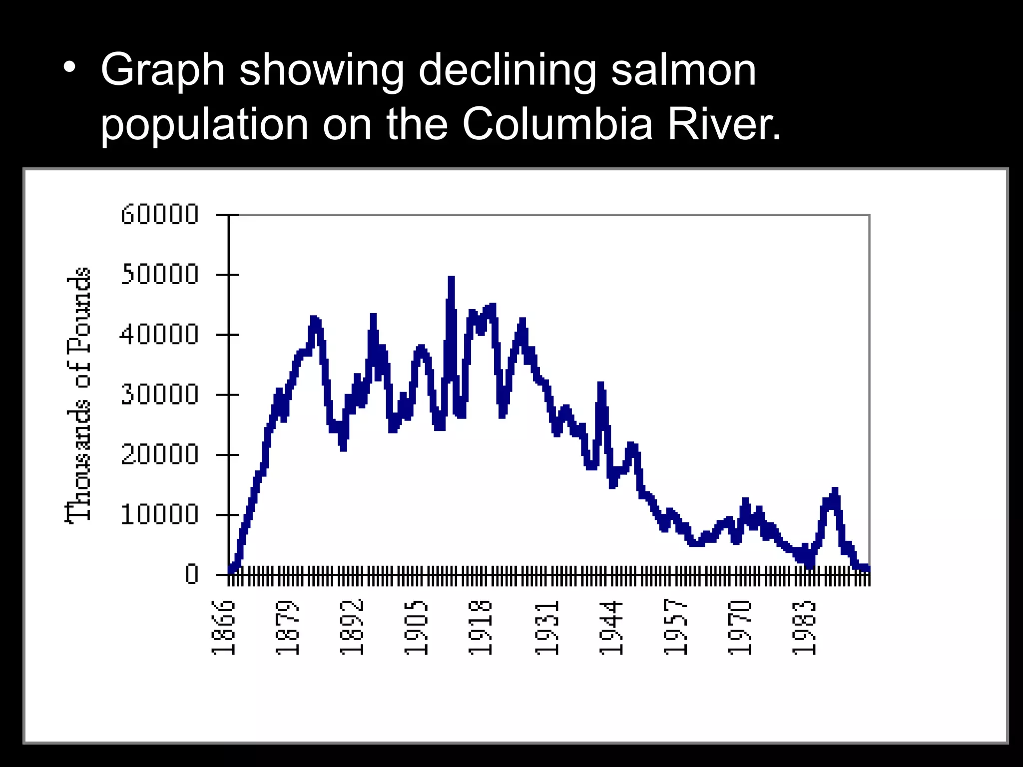 • Graph showing declining salmon
population on the Columbia River.
 