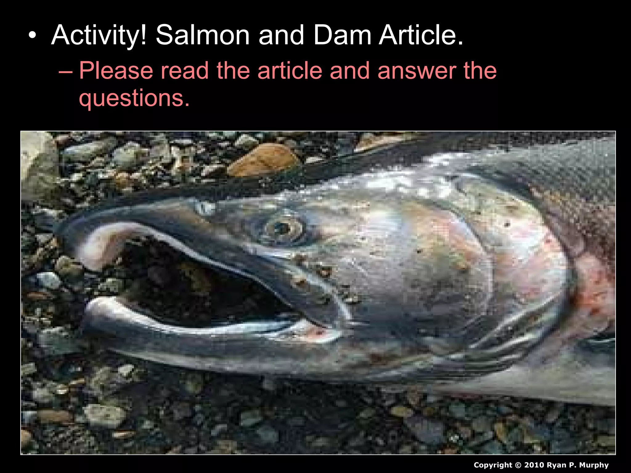• Activity! Salmon and Dam Article.
– Please read the article and answer the
questions.
Copyright © 2010 Ryan P. Murphy
 