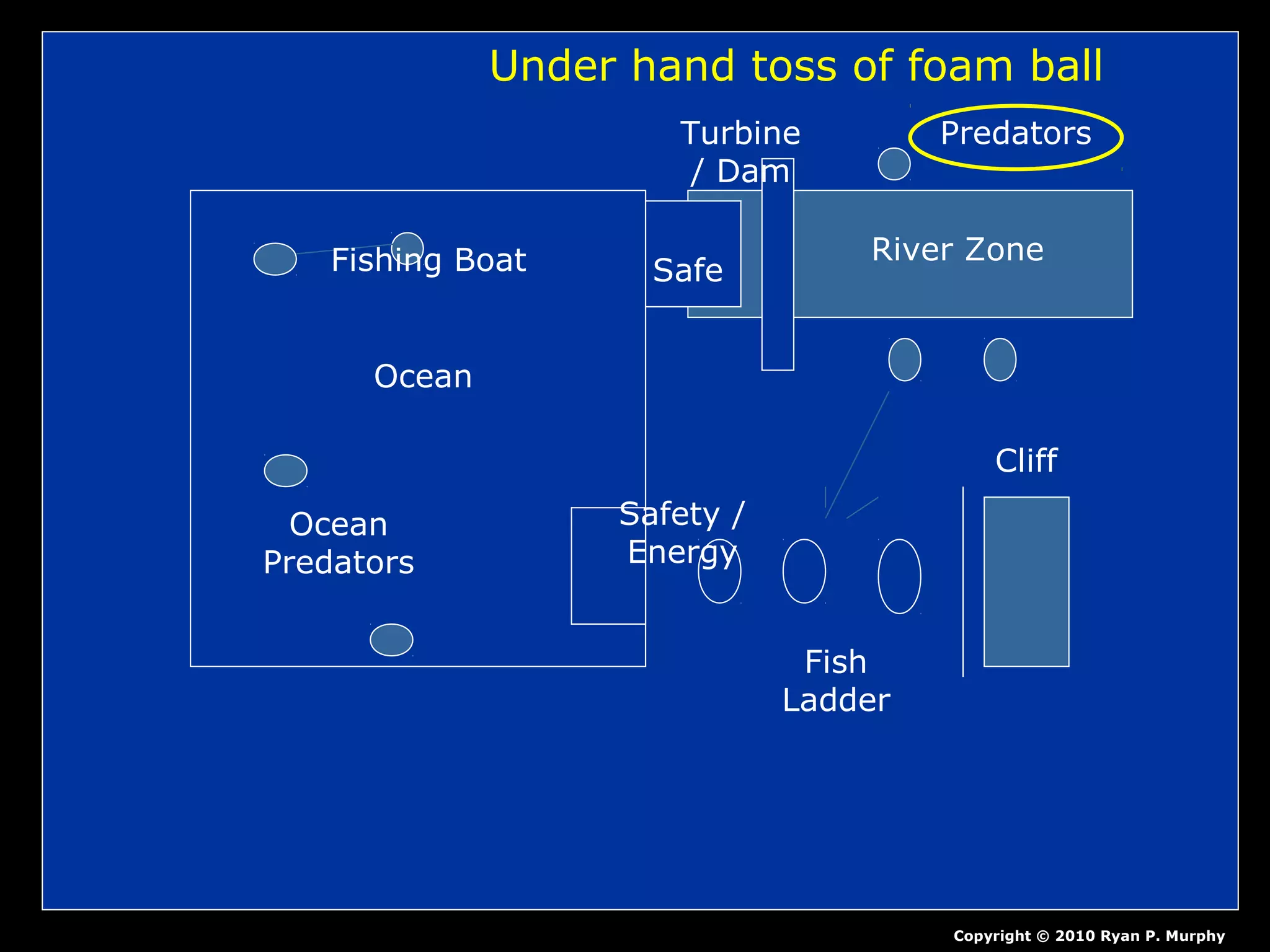 Ocean
Fishing Boat
Ocean
Predators
Safety /
Energy
Fish
Ladder
Cliff
Turbine
/ Dam
River Zone
Predators
Safe
Copyright © 2010 Ryan P. Murphy
Under hand toss of foam ball
 