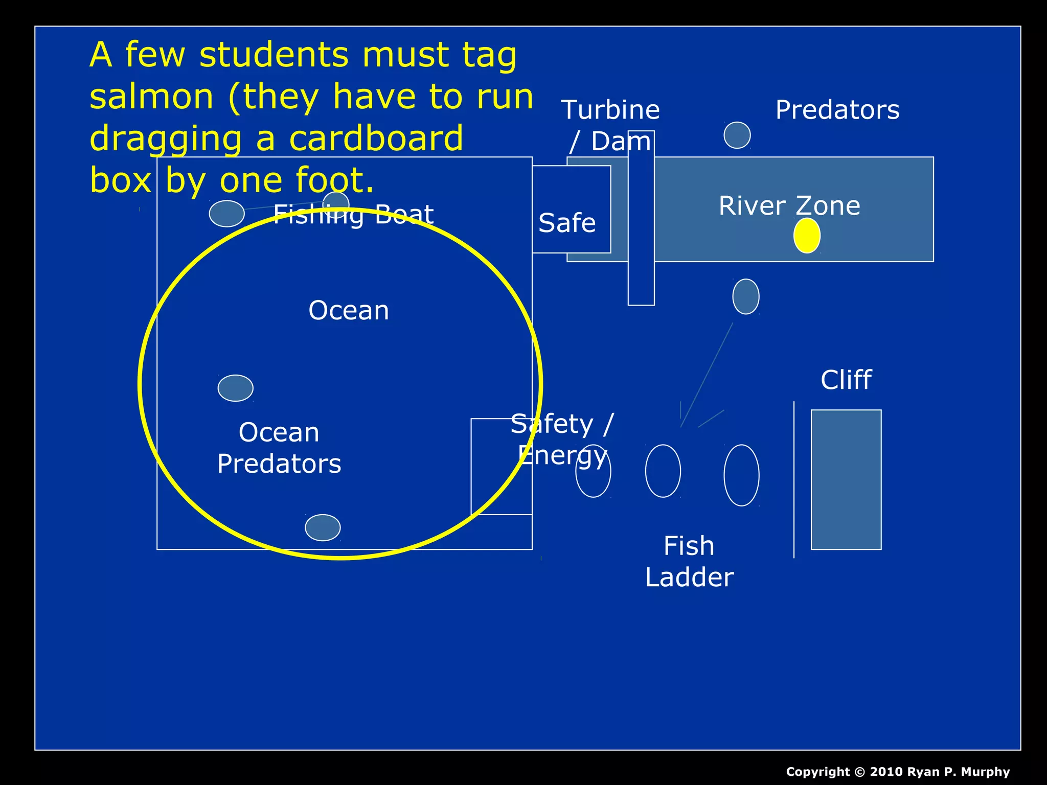 Ocean
Fishing Boat
Ocean
Predators
Safety /
Energy
Fish
Ladder
Cliff
Turbine
/ Dam
River Zone
Predators
Safe
Copyright © 2010 Ryan P. Murphy
A few students must tag
salmon (they have to run
dragging a cardboard
box by one foot.
 