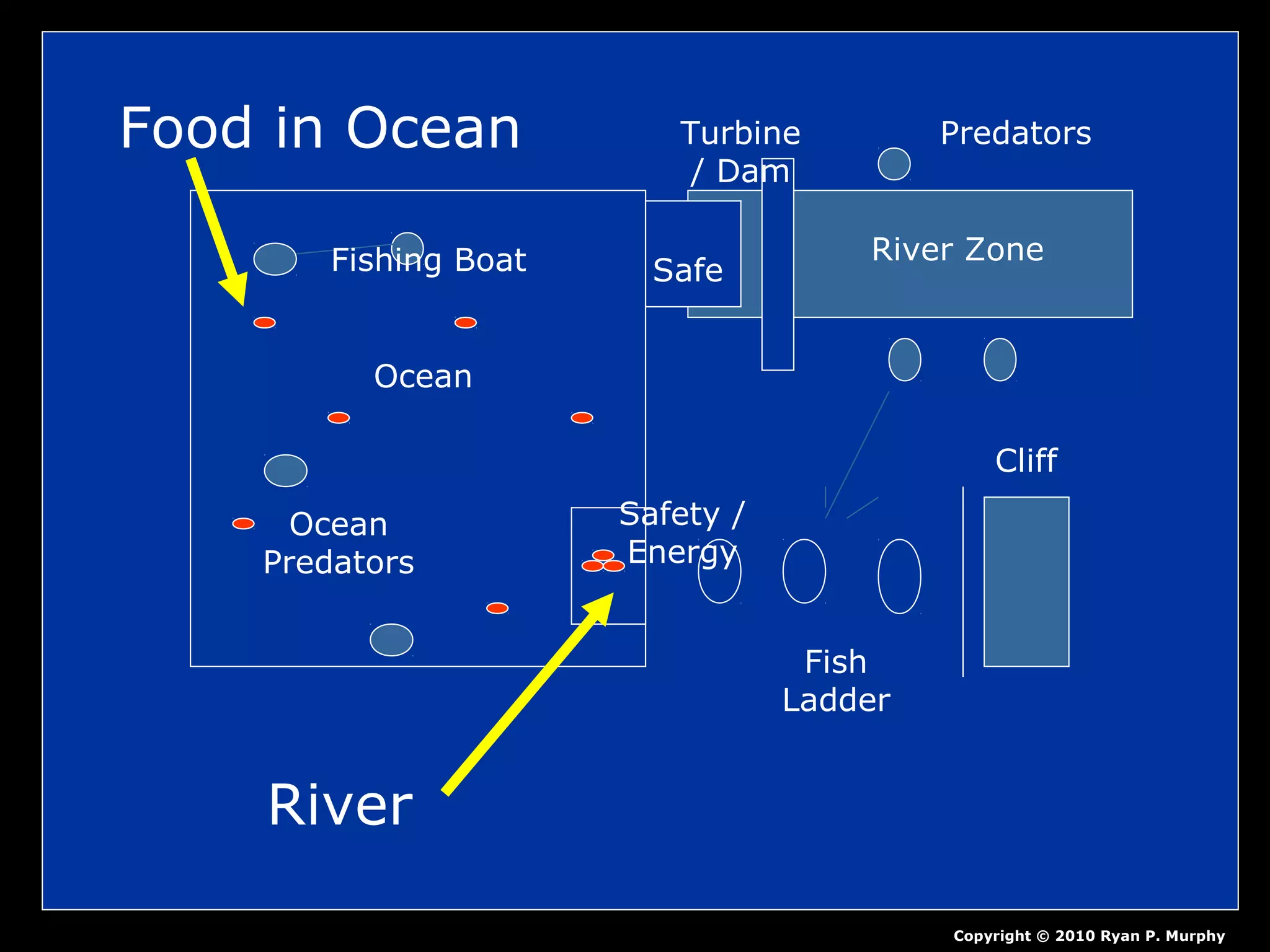 Ocean
Fishing Boat
Ocean
Predators
Safety /
Energy
Fish
Ladder
Cliff
Turbine
/ Dam
River Zone
Predators
Safe
Copyright © 2010 Ryan P. Murphy
Food in Ocean
River
 