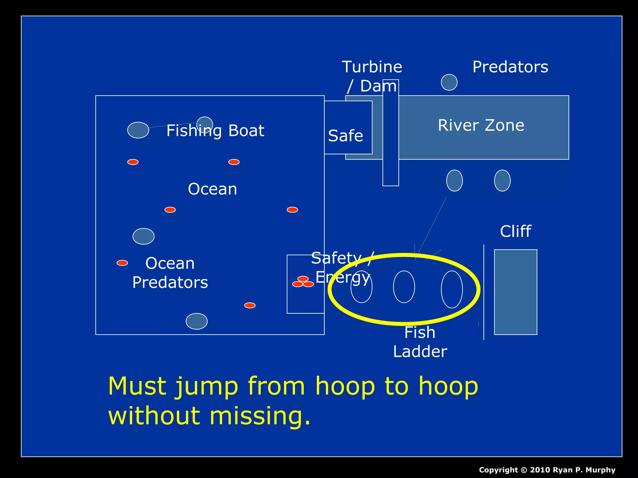 Ocean
Fishing Boat
Ocean
Predators
Safety /
Energy
Fish
Ladder
Cliff
Turbine
/ Dam
River Zone
Predators
Safe
Copyright © 2010 Ryan P. Murphy
Must jump from hoop to hoop
without missing.
 