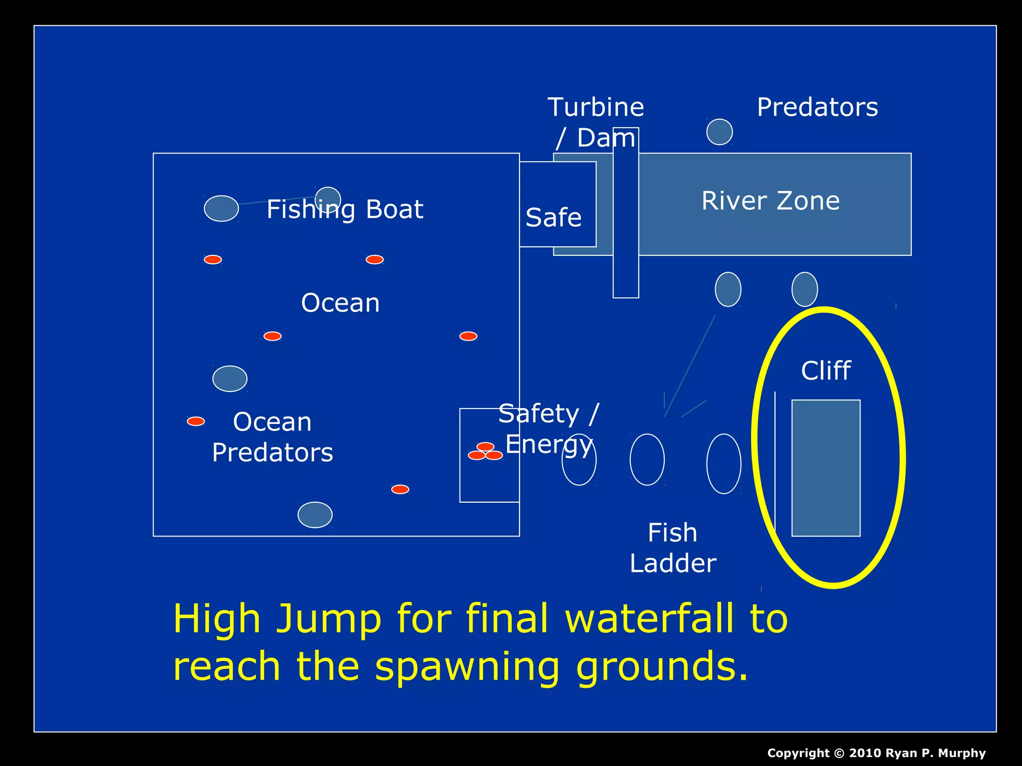 Ocean
Fishing Boat
Ocean
Predators
Safety /
Energy
Fish
Ladder
Cliff
Turbine
/ Dam
River Zone
Predators
Safe
Copyright © 2010 Ryan P. Murphy
High Jump for final waterfall to
reach the spawning grounds.
 