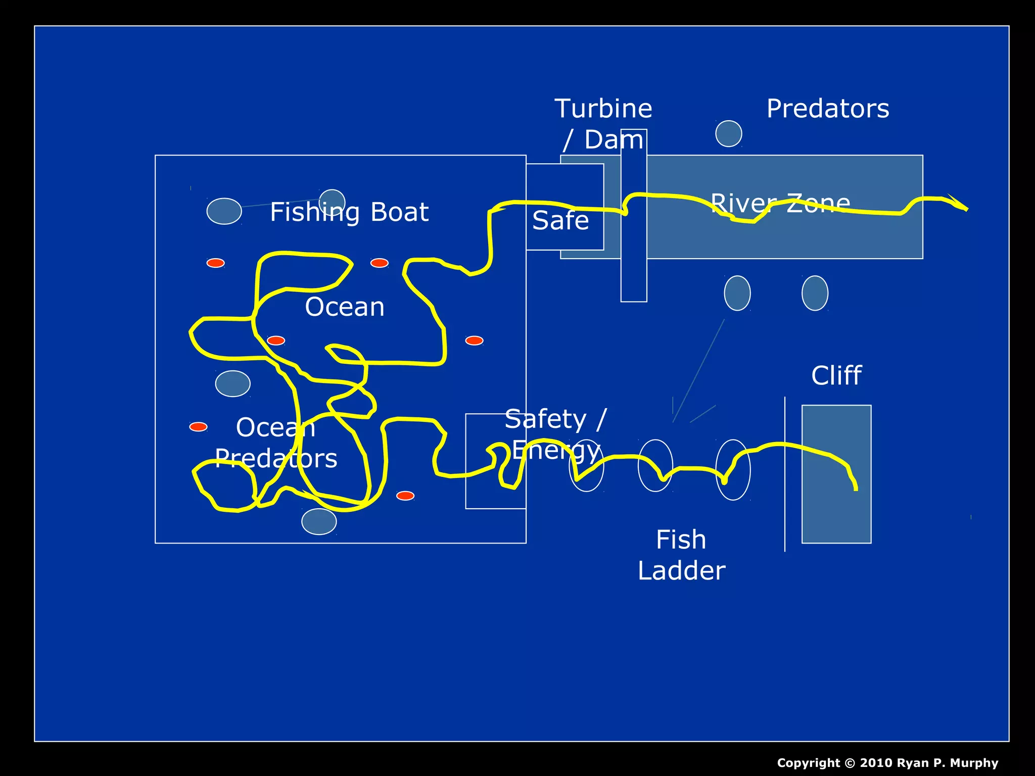 Ocean
Fishing Boat
Ocean
Predators
Safety /
Energy
Fish
Ladder
Cliff
Turbine
/ Dam
River Zone
Predators
Safe
Copyright © 2010 Ryan P. Murphy
 