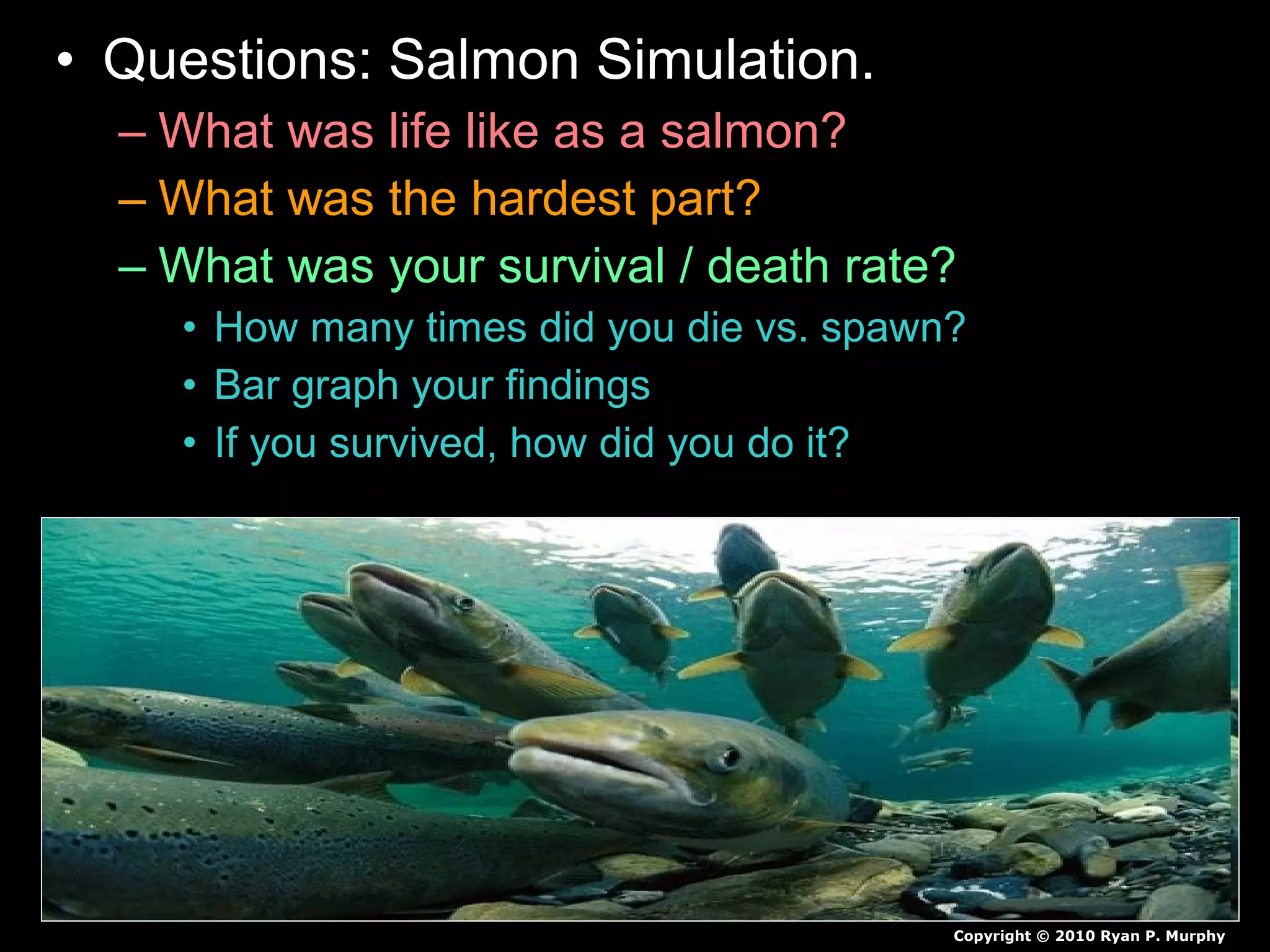 • Questions: Salmon Simulation.
– What was life like as a salmon?
– What was the hardest part?
– What was your survival / death rate?
• How many times did you die vs. spawn?
• Bar graph your findings
• If you survived, how did you do it?
Copyright © 2010 Ryan P. Murphy
 