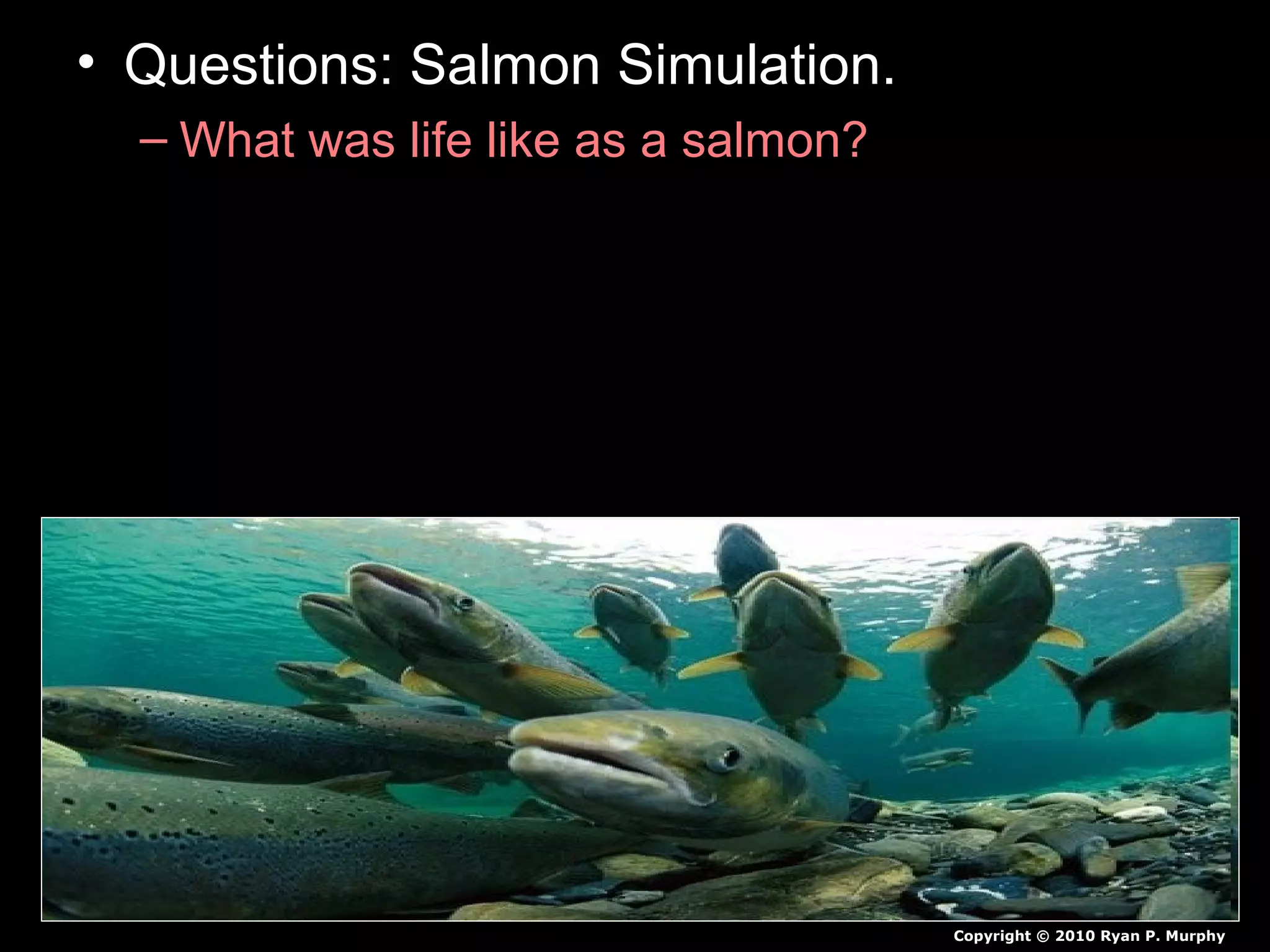 • Questions: Salmon Simulation.
– What was life like as a salmon?
Copyright © 2010 Ryan P. Murphy
 