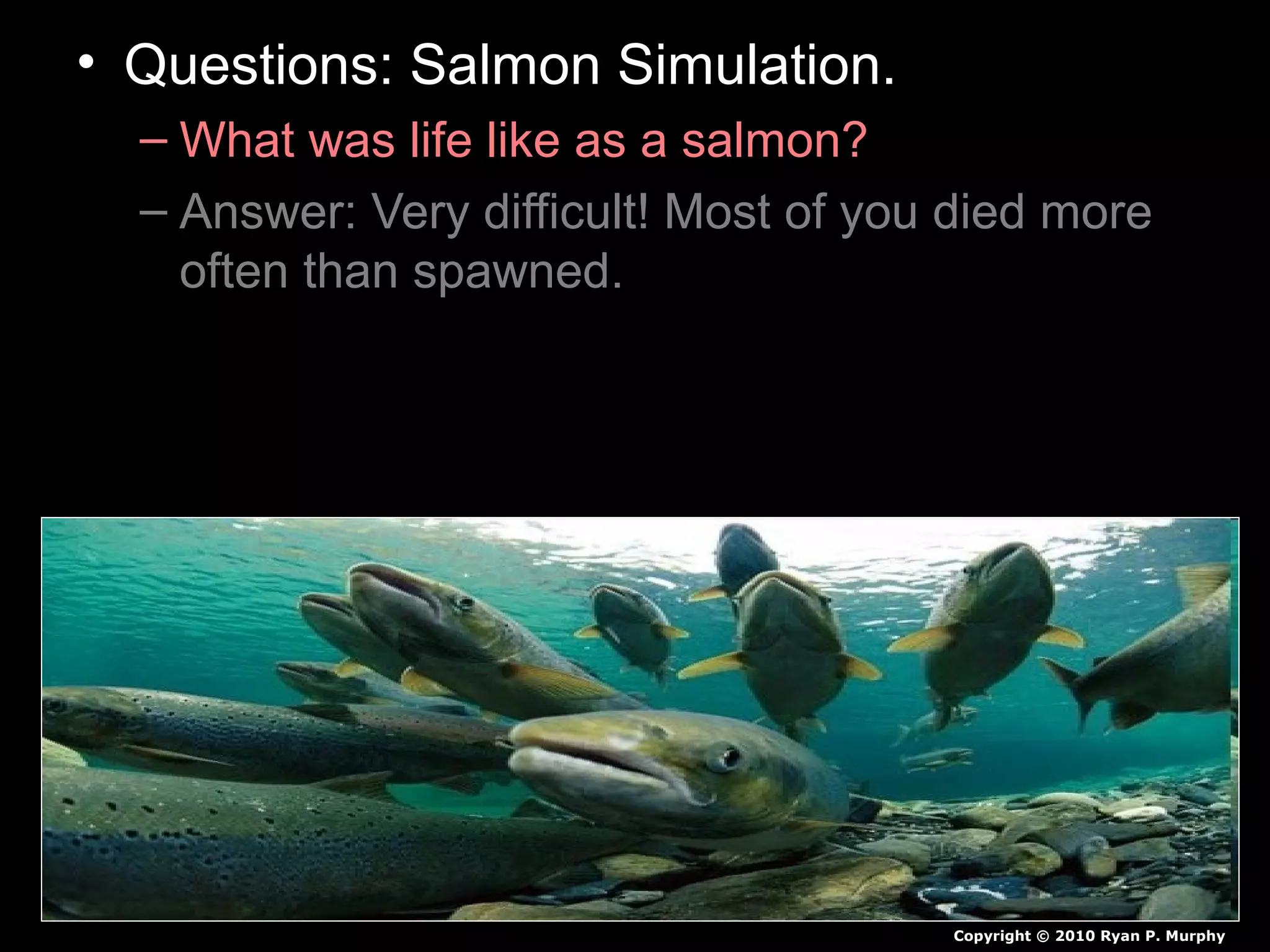 • Questions: Salmon Simulation.
– What was life like as a salmon?
– Answer: Very difficult! Most of you died more
often than spawned.
Copyright © 2010 Ryan P. Murphy
 
