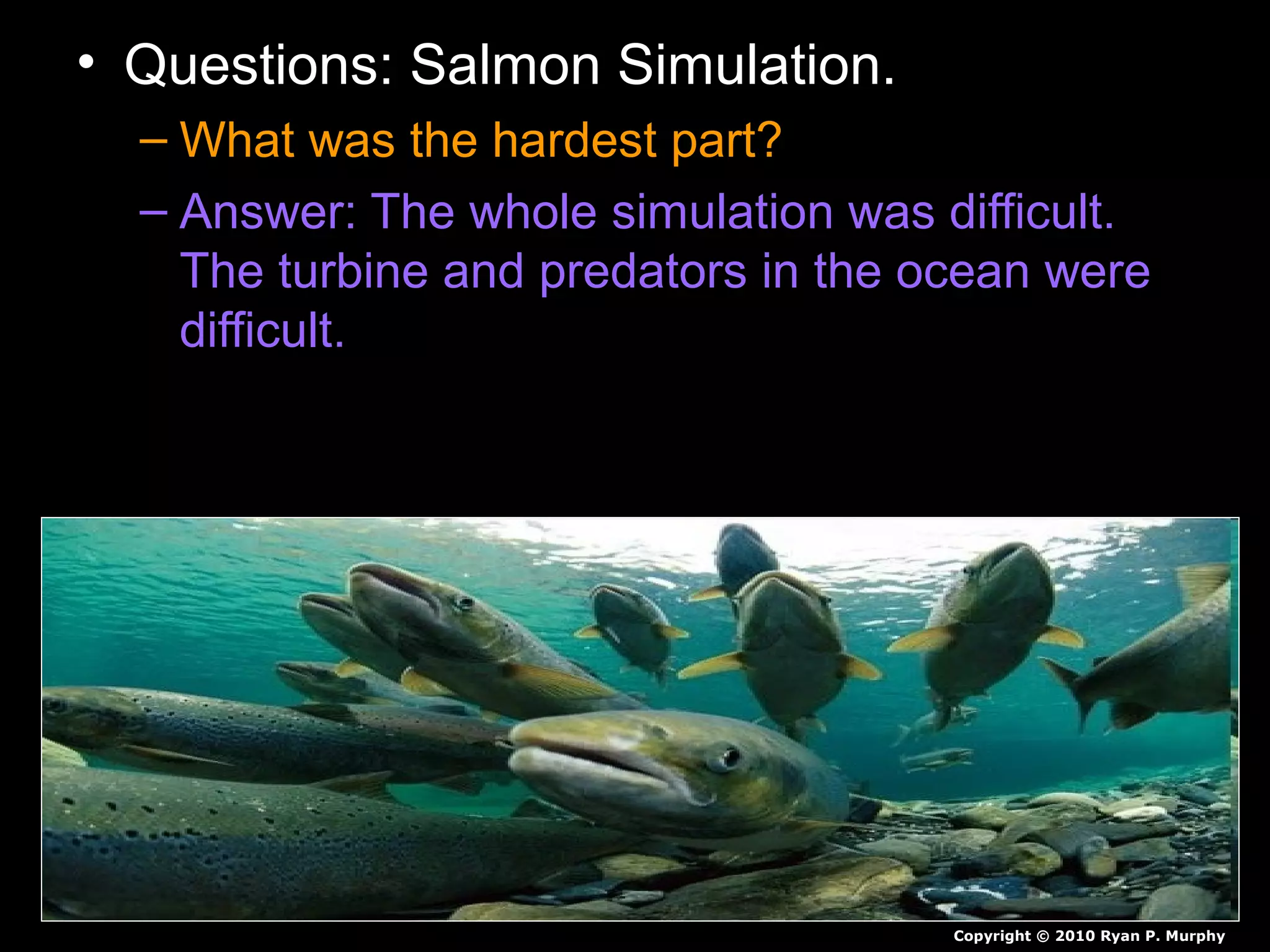 • Questions: Salmon Simulation.
– What was the hardest part?
– Answer: The whole simulation was difficult.
The turbine and predators in the ocean were
difficult.
Copyright © 2010 Ryan P. Murphy
 