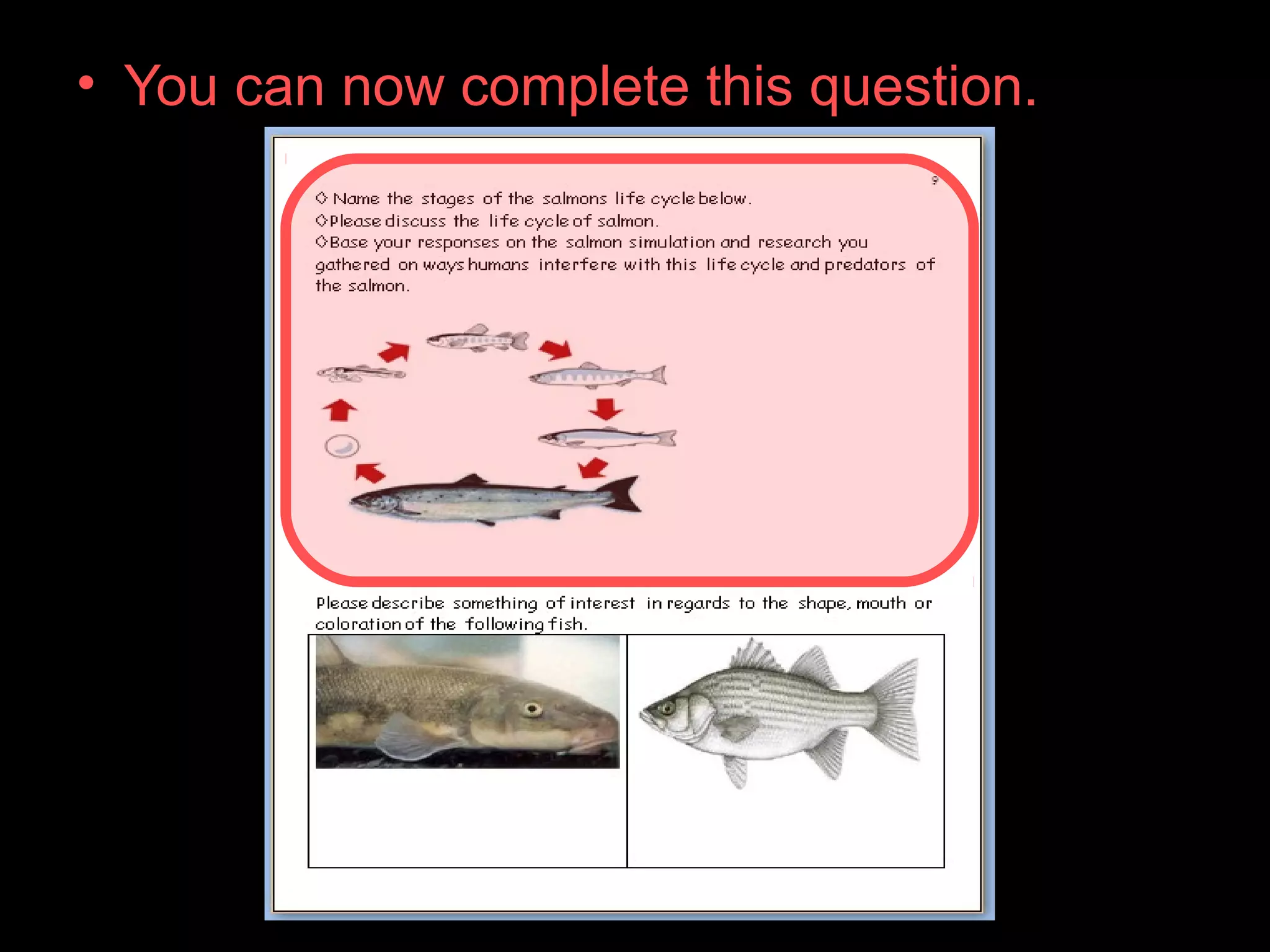 • You can now complete this question.
 