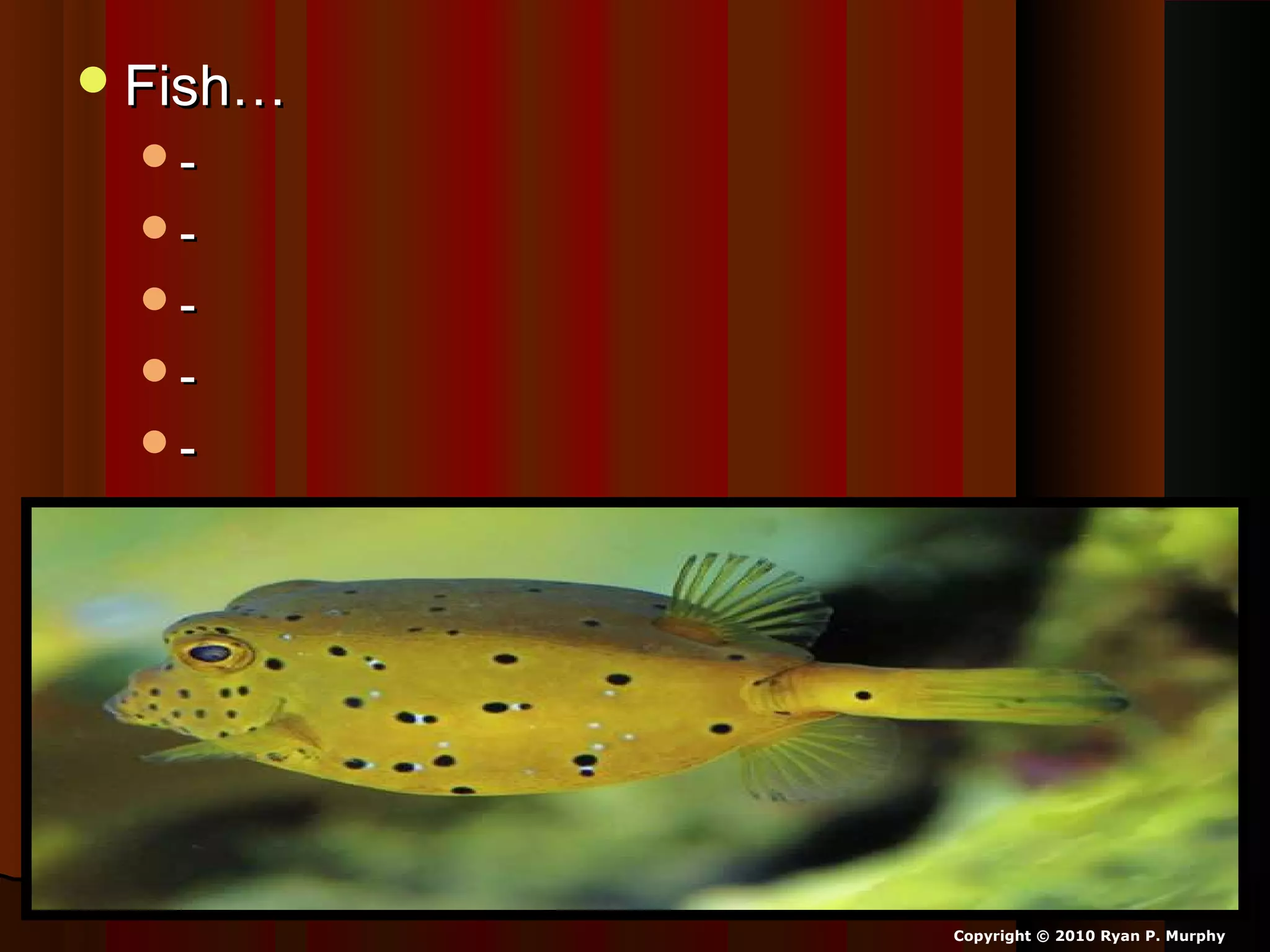 Fish…Fish…
--
--
--
--
--
Copyright © 2010 Ryan P. Murphy
 