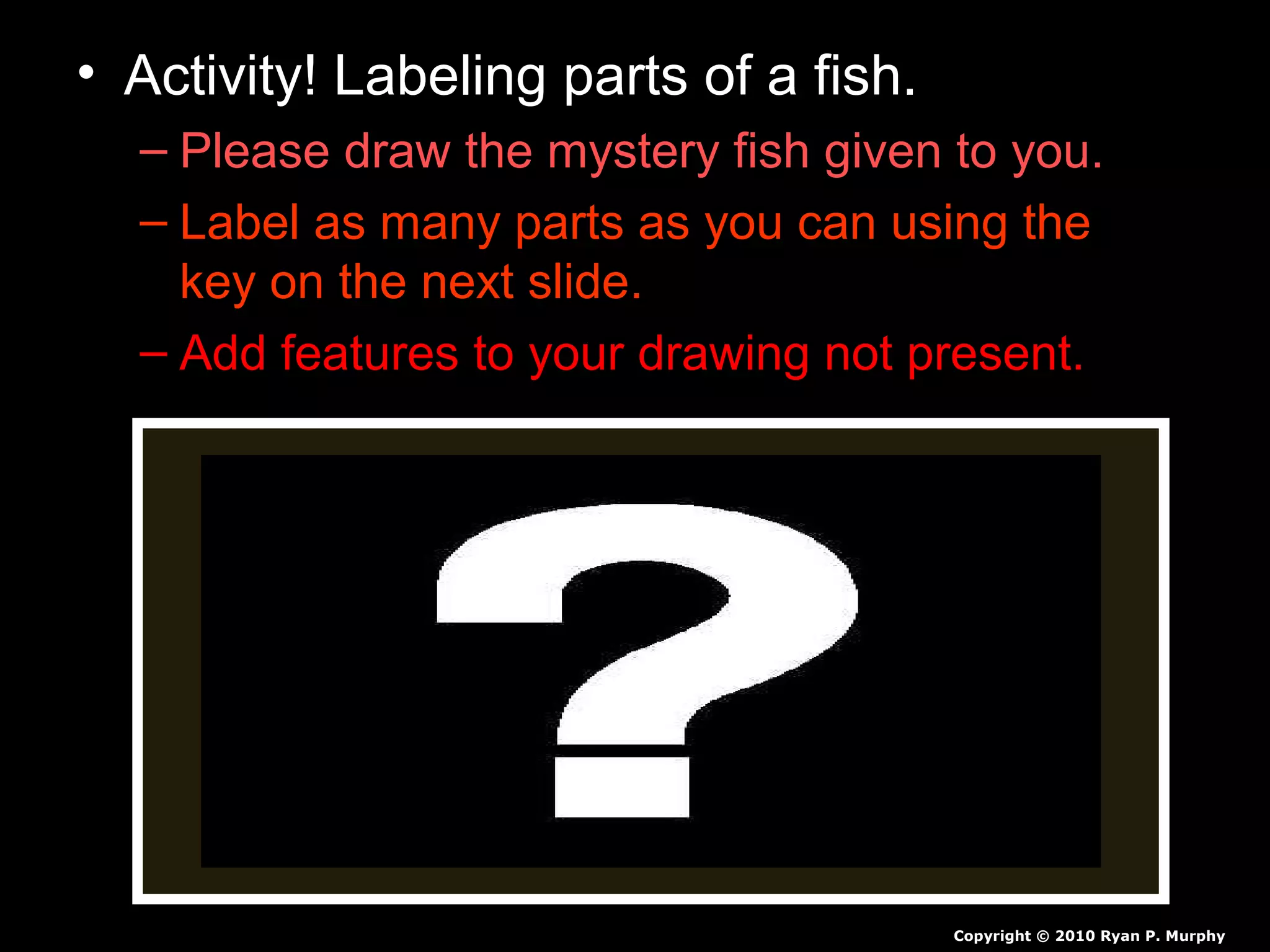 • Activity! Labeling parts of a fish.
– Please draw the mystery fish given to you.
– Label as many parts as you can using the
key on the next slide.
– Add features to your drawing not present.
Copyright © 2010 Ryan P. Murphy
 