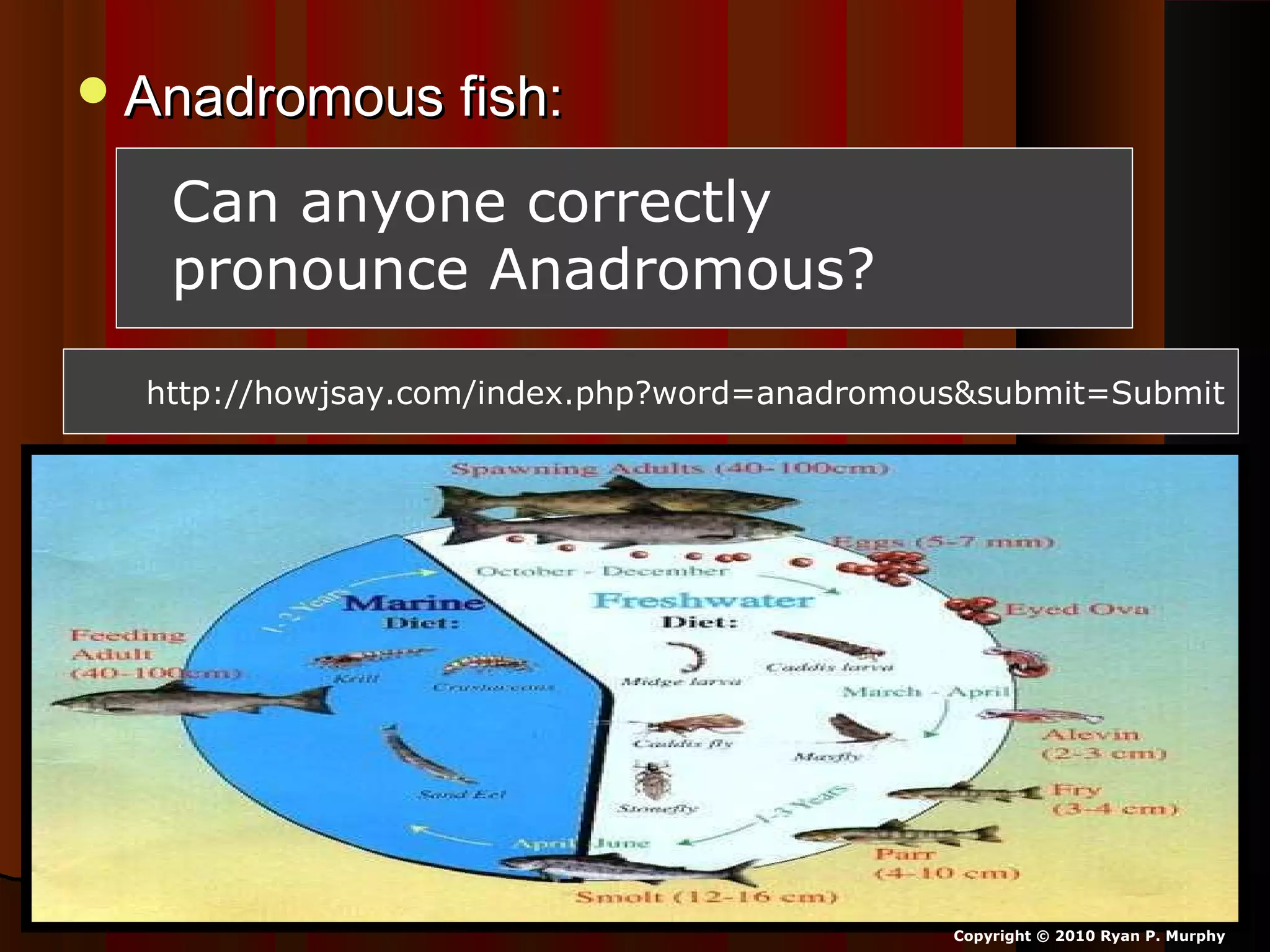 Anadromous fish:Anadromous fish:
Copyright © 2010 Ryan P. Murphy
Can anyone correctly
pronounce Anadromous?
http://howjsay.com/index.php?word=anadromous&submit=Submit
 