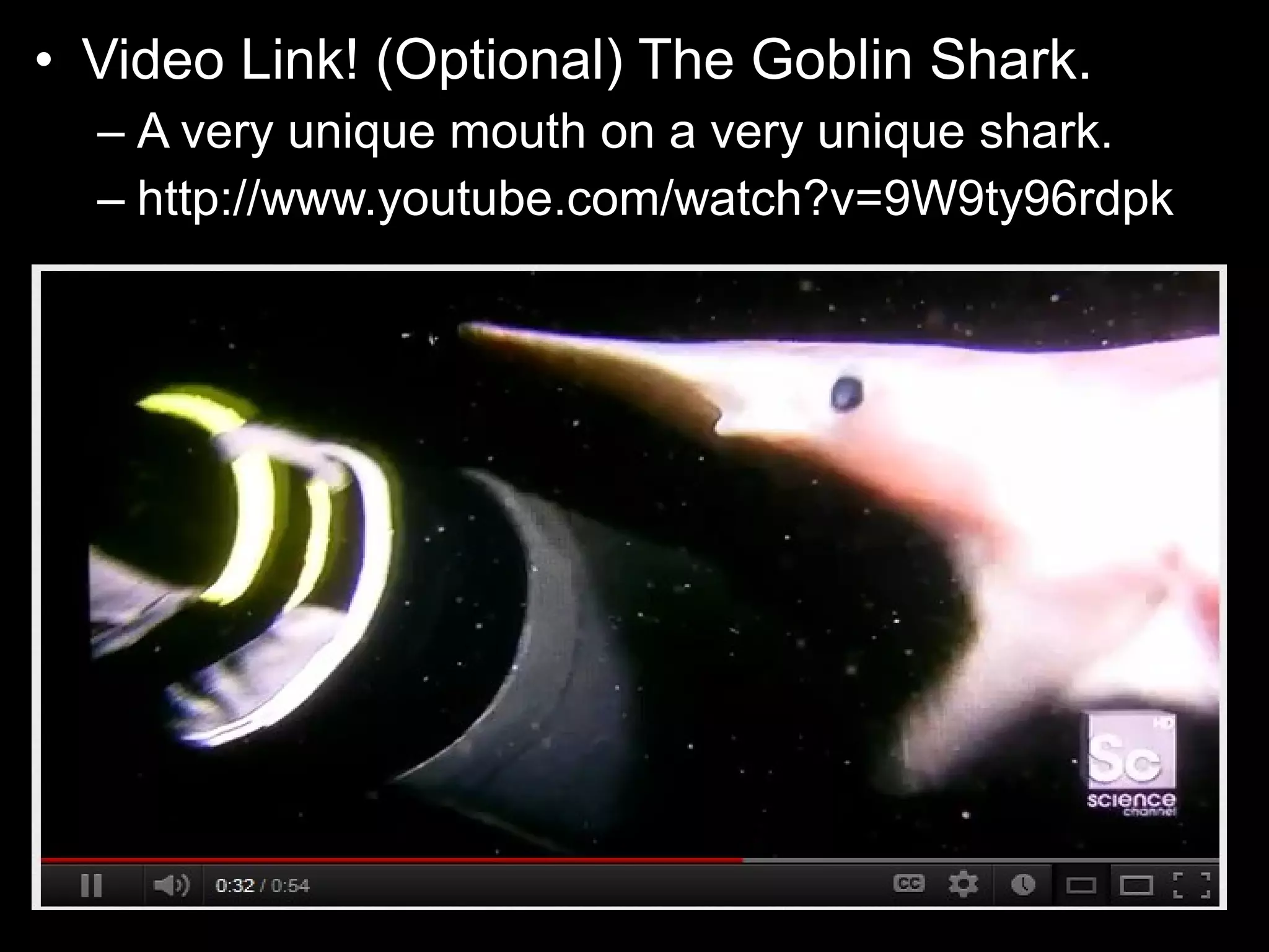 • Video Link! (Optional) The Goblin Shark.
– A very unique mouth on a very unique shark.
– http://www.youtube.com/watch?v=9W9ty96rdpk
 