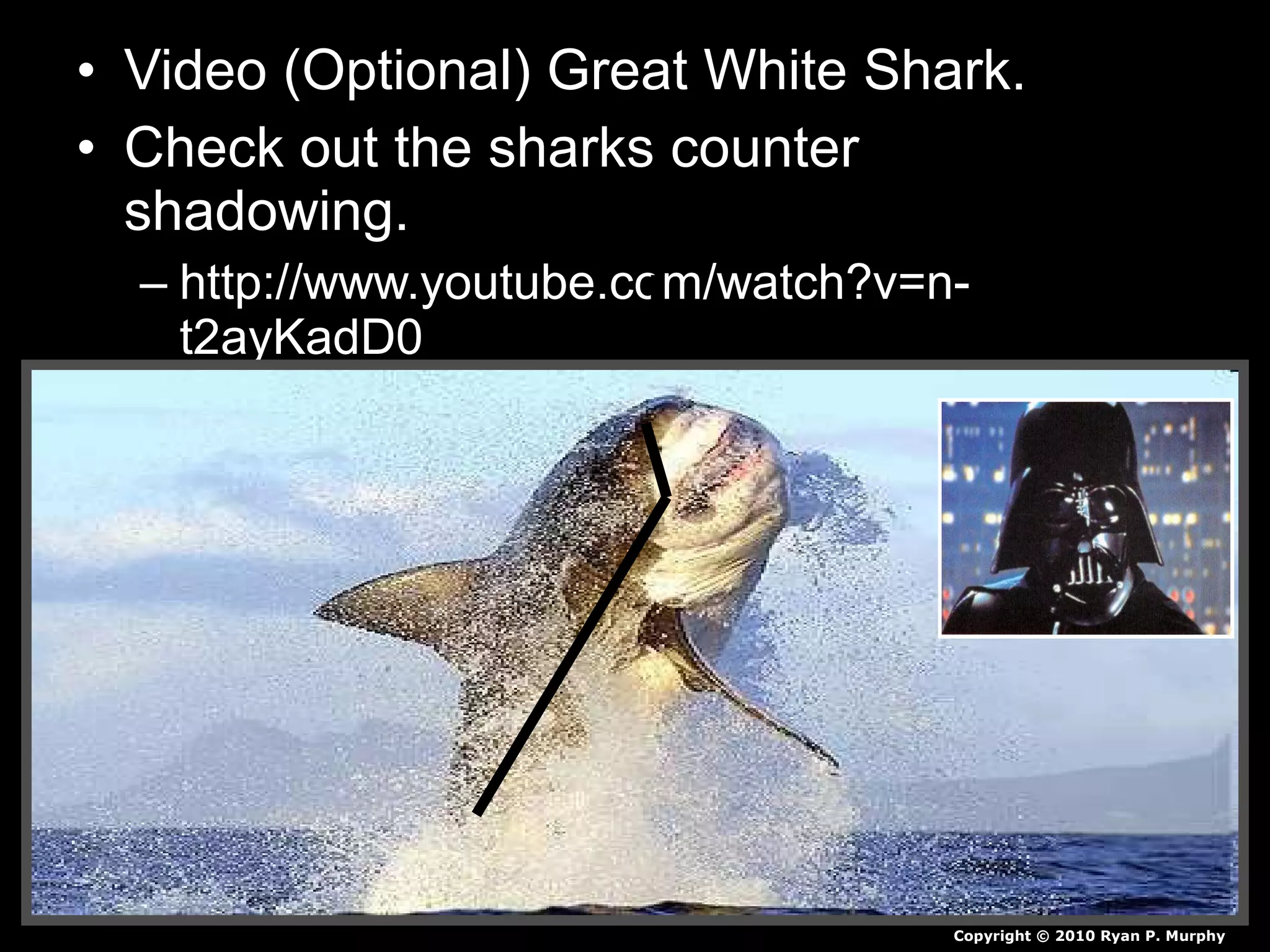• Video (Optional) Great White Shark.
• Check out the sharks counter
shadowing.
– http://www.youtube.com/watch?v=n-
t2ayKadD0
Copyright © 2010 Ryan P. Murphy
 