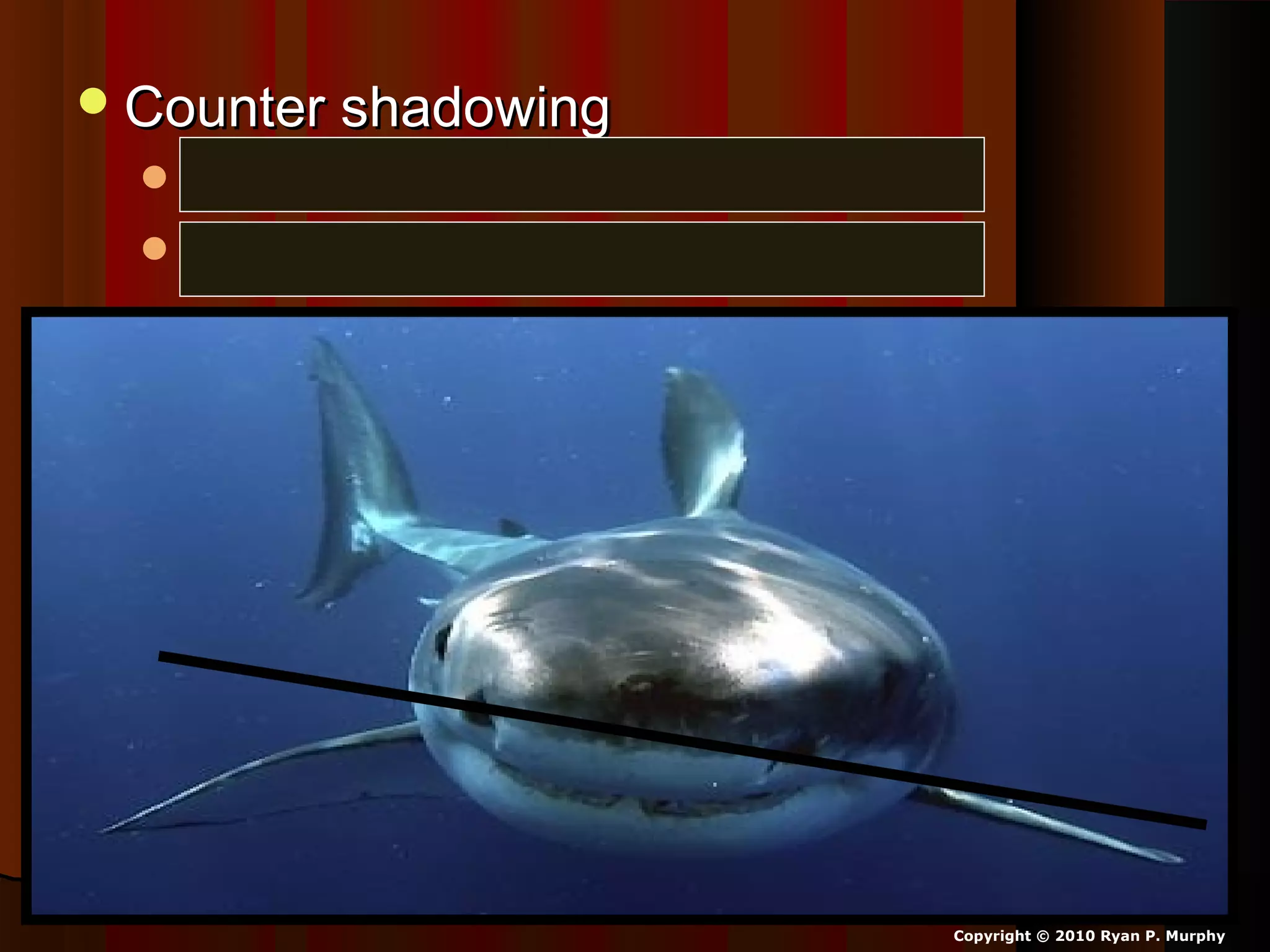 Counter shadowingCounter shadowing
Dark top - can’t see from aboveDark top - can’t see from above
Light bottom – can’t see from below.Light bottom – can’t see from below.
Copyright © 2010 Ryan P. Murphy
 