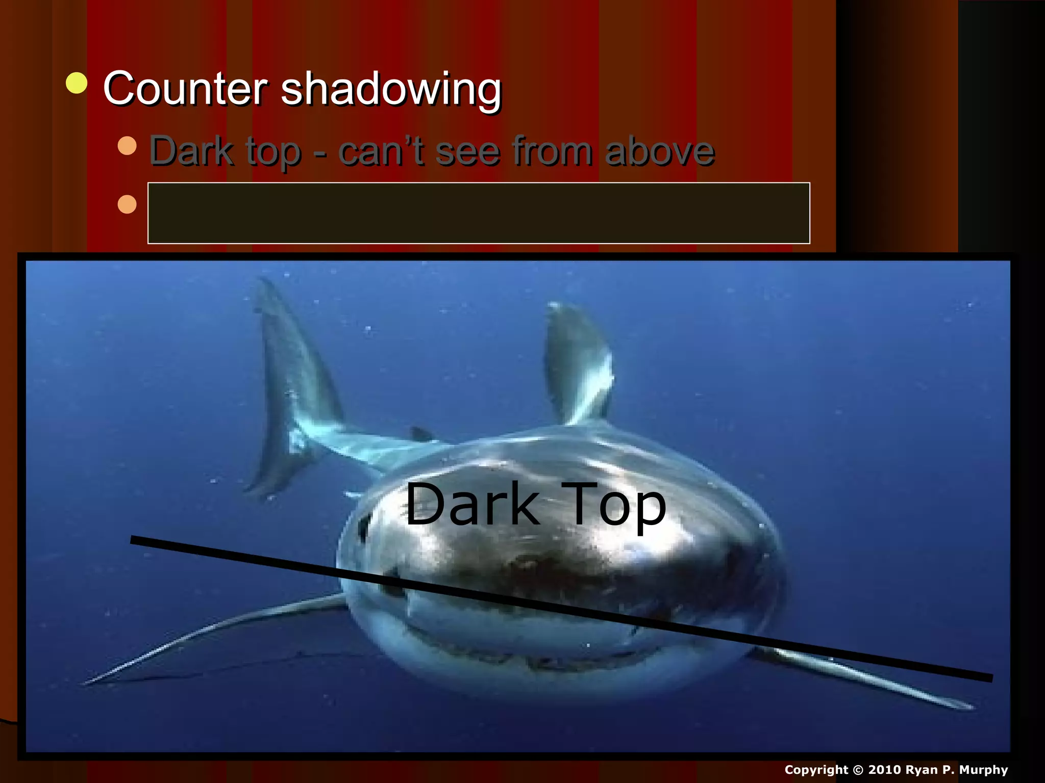 Counter shadowingCounter shadowing
Dark top - can’t see from aboveDark top - can’t see from above
Light bottom – can’t see from below.Light bottom – can’t see from below.
Dark Top
Copyright © 2010 Ryan P. Murphy
 